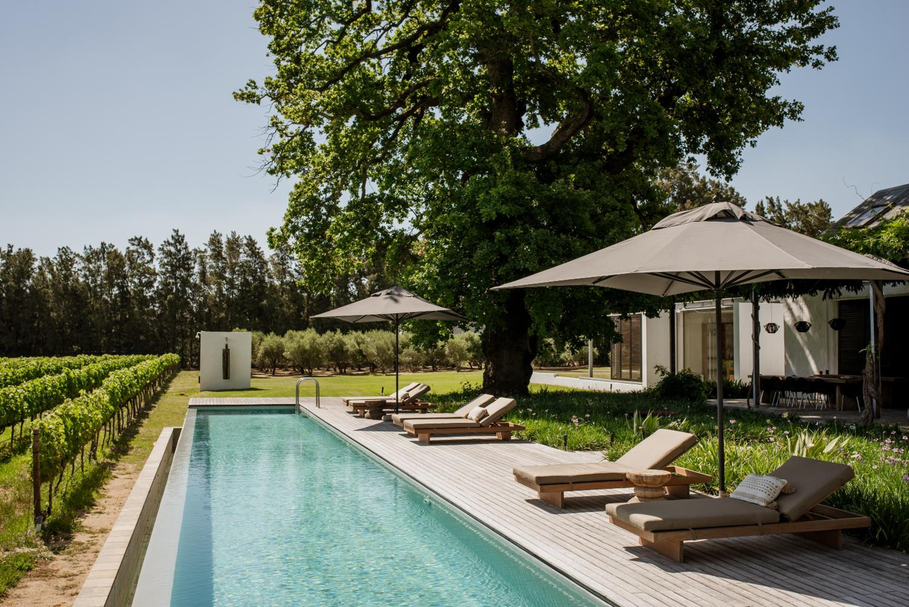 MAISON FRANSCHHOEK