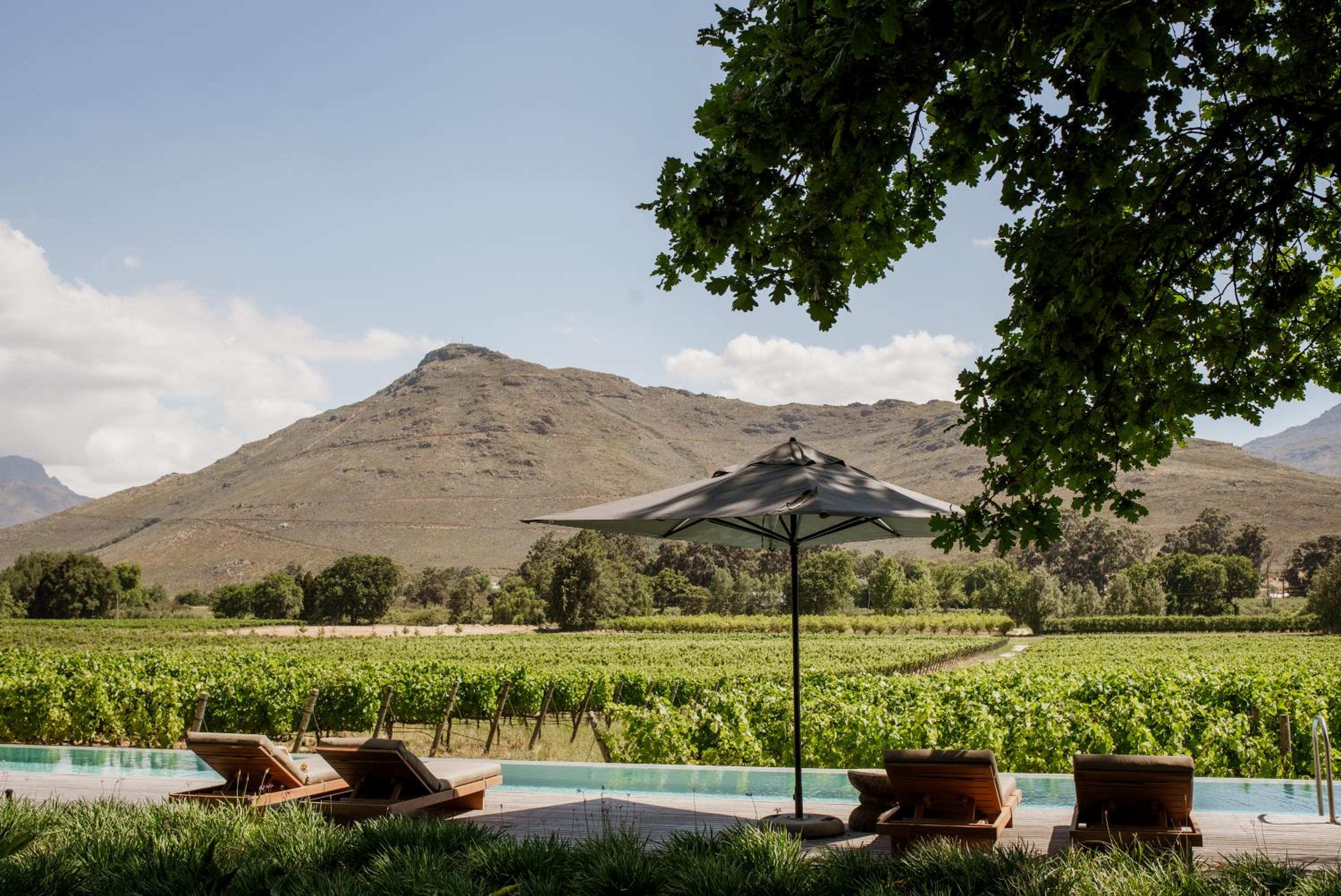 MAISON FRANSCHHOEK