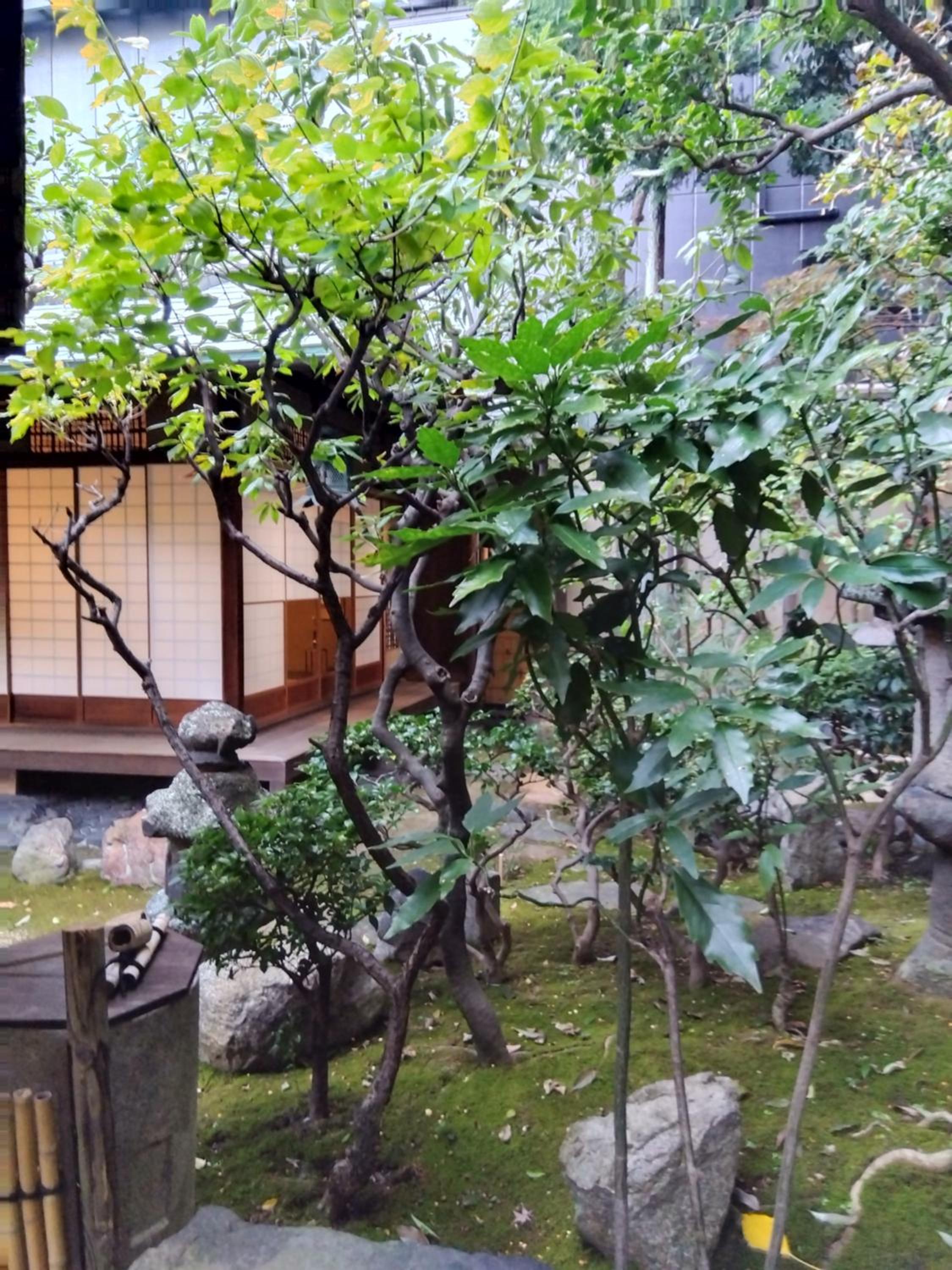 Photo 46