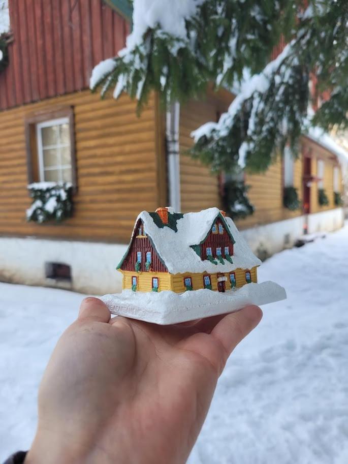 Leśne Apartamenty