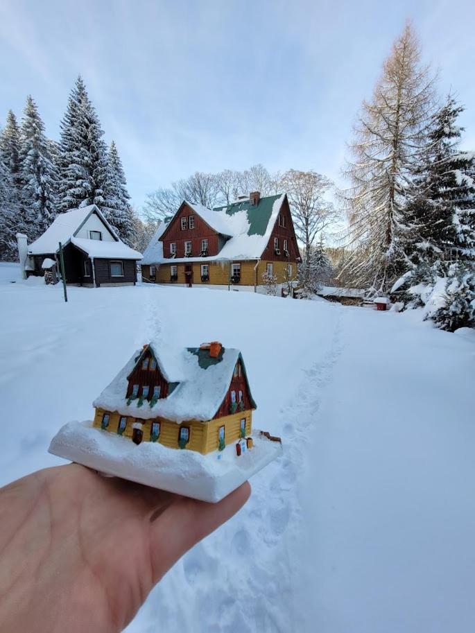 Leśne Apartamenty