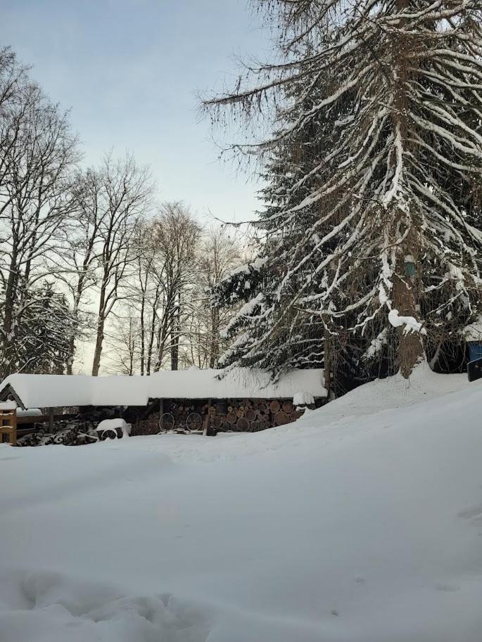 Leśne Apartamenty