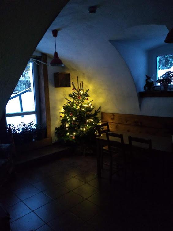 Leśne Apartamenty