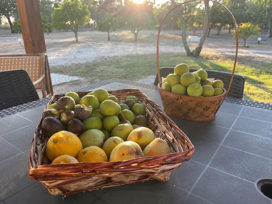 Monte Velho - Country House view 3