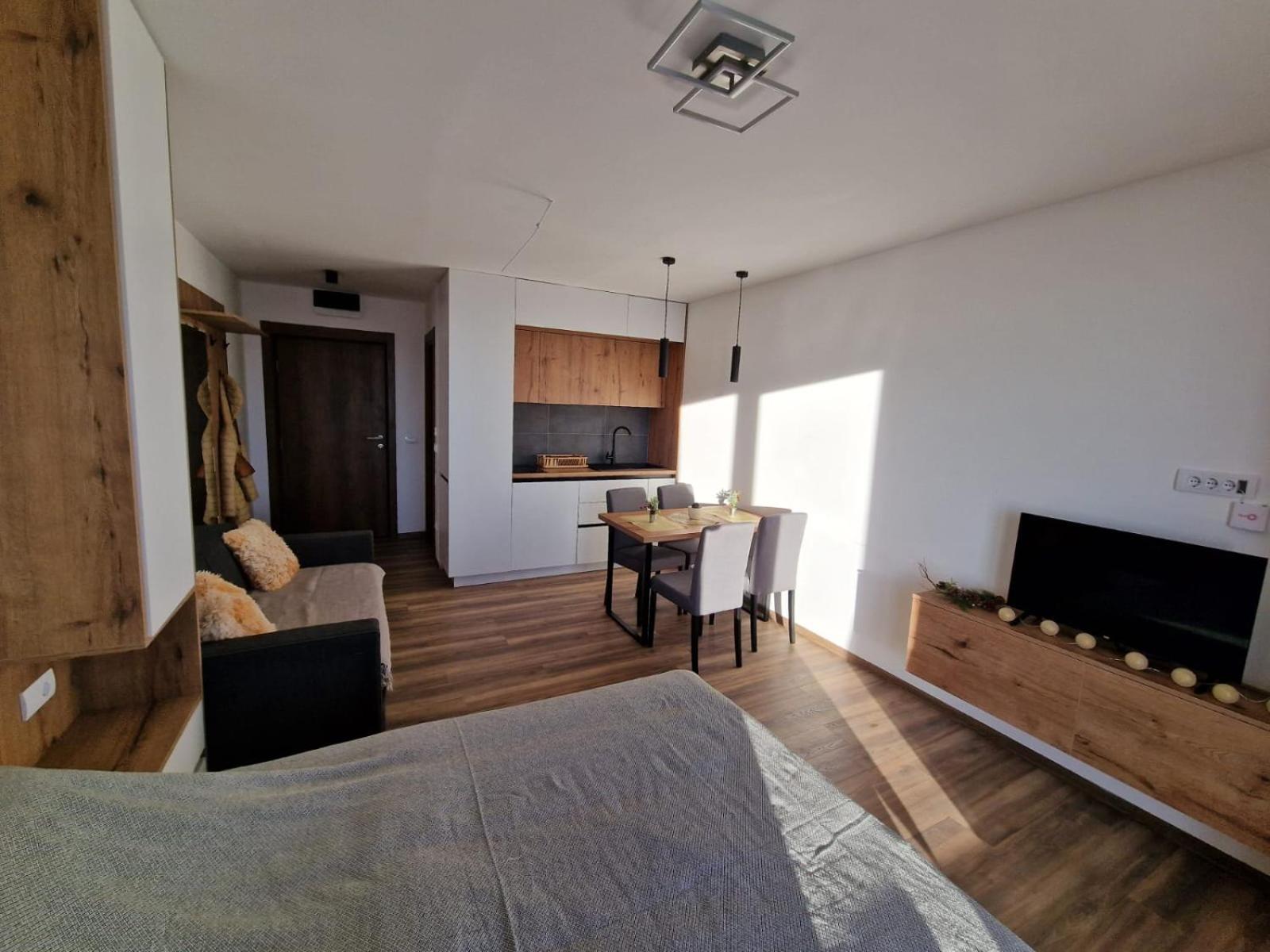 Kopaonik apartment A05 view 3