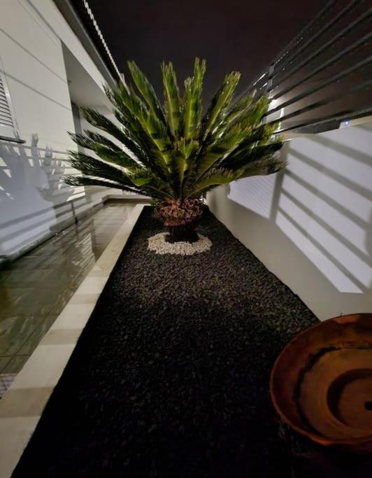 Vila da Pesca House