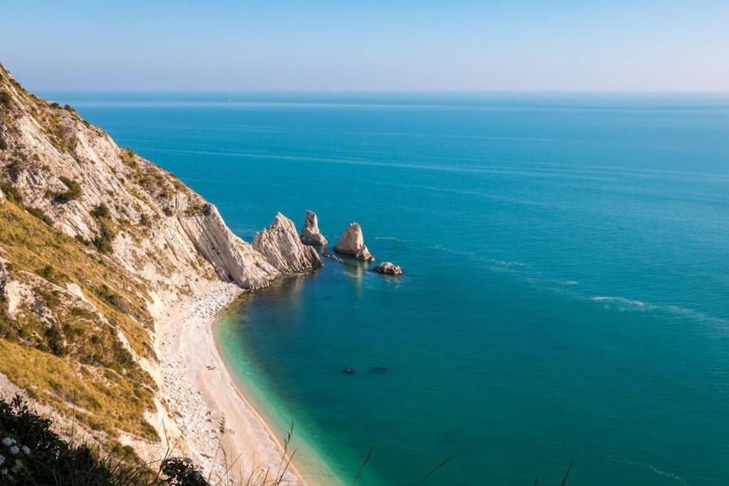 The Pellegrino Spot view 5