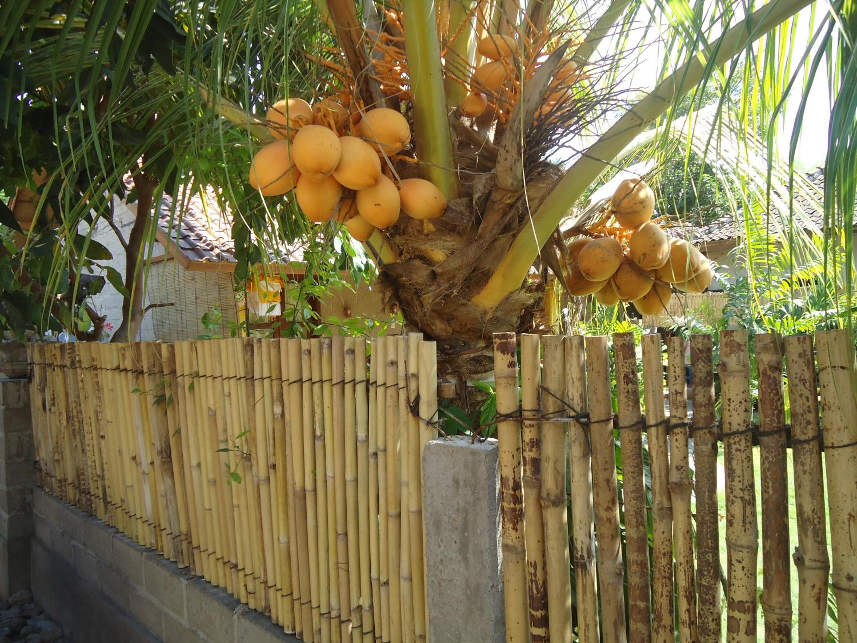 Photo 42