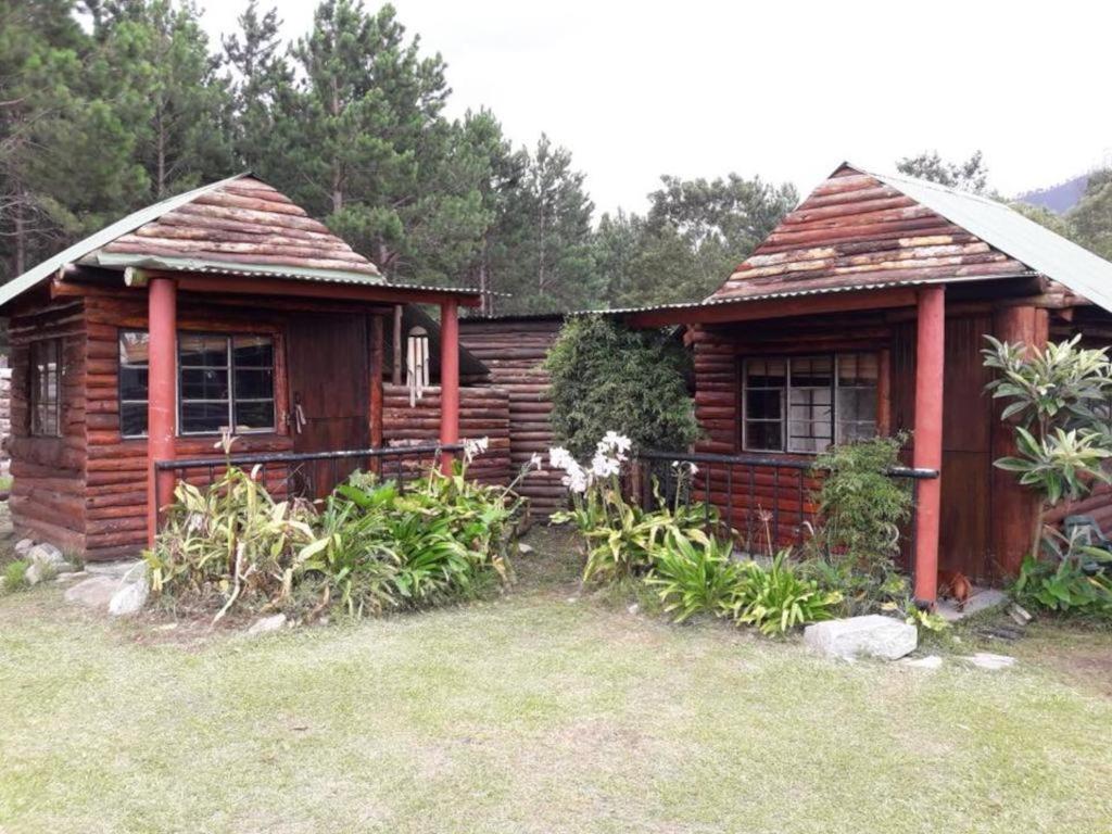Tsitsikamma Wolf Sanctuary ECO Cabins & Teepees view 2