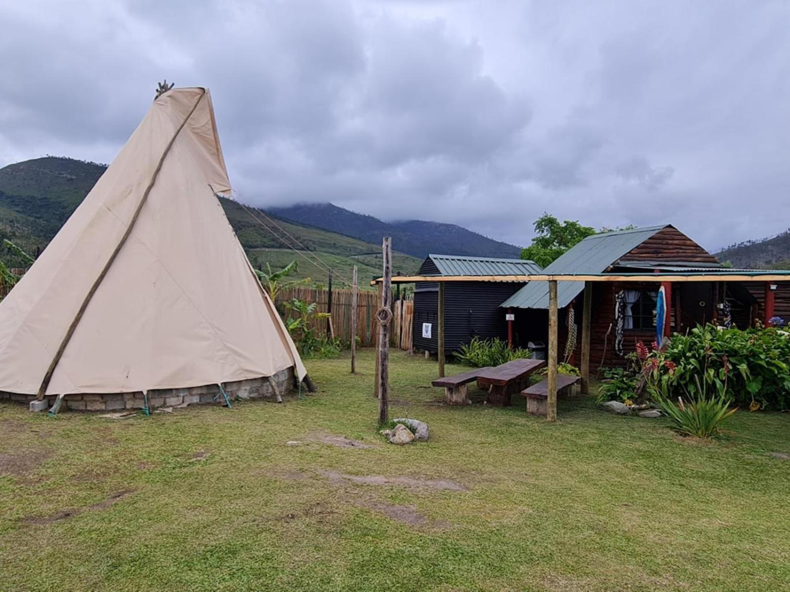 Tsitsikamma Wolf Sanctuary ECO Cabins & Teepees view 3