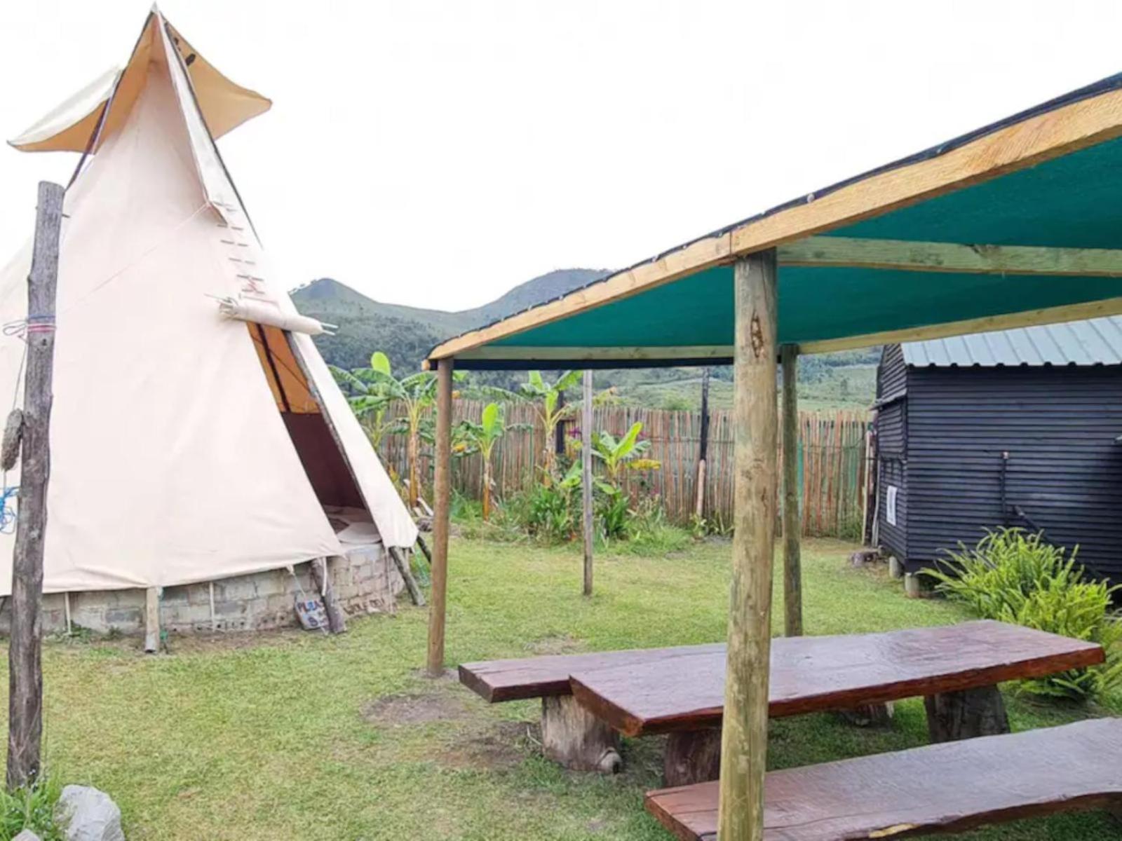 Tsitsikamma Wolf Sanctuary ECO Cabins & Teepees view 4