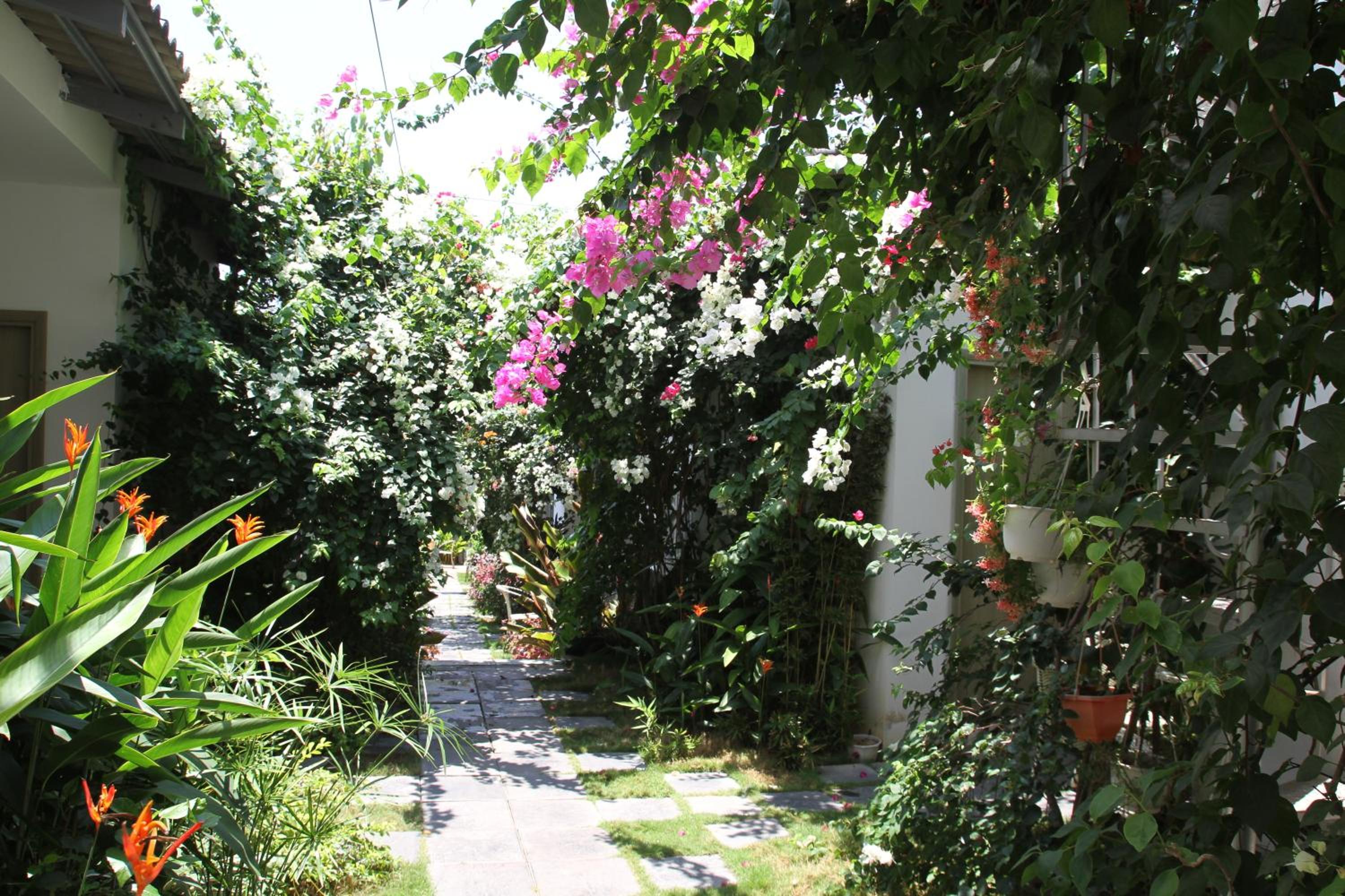 Photo 40