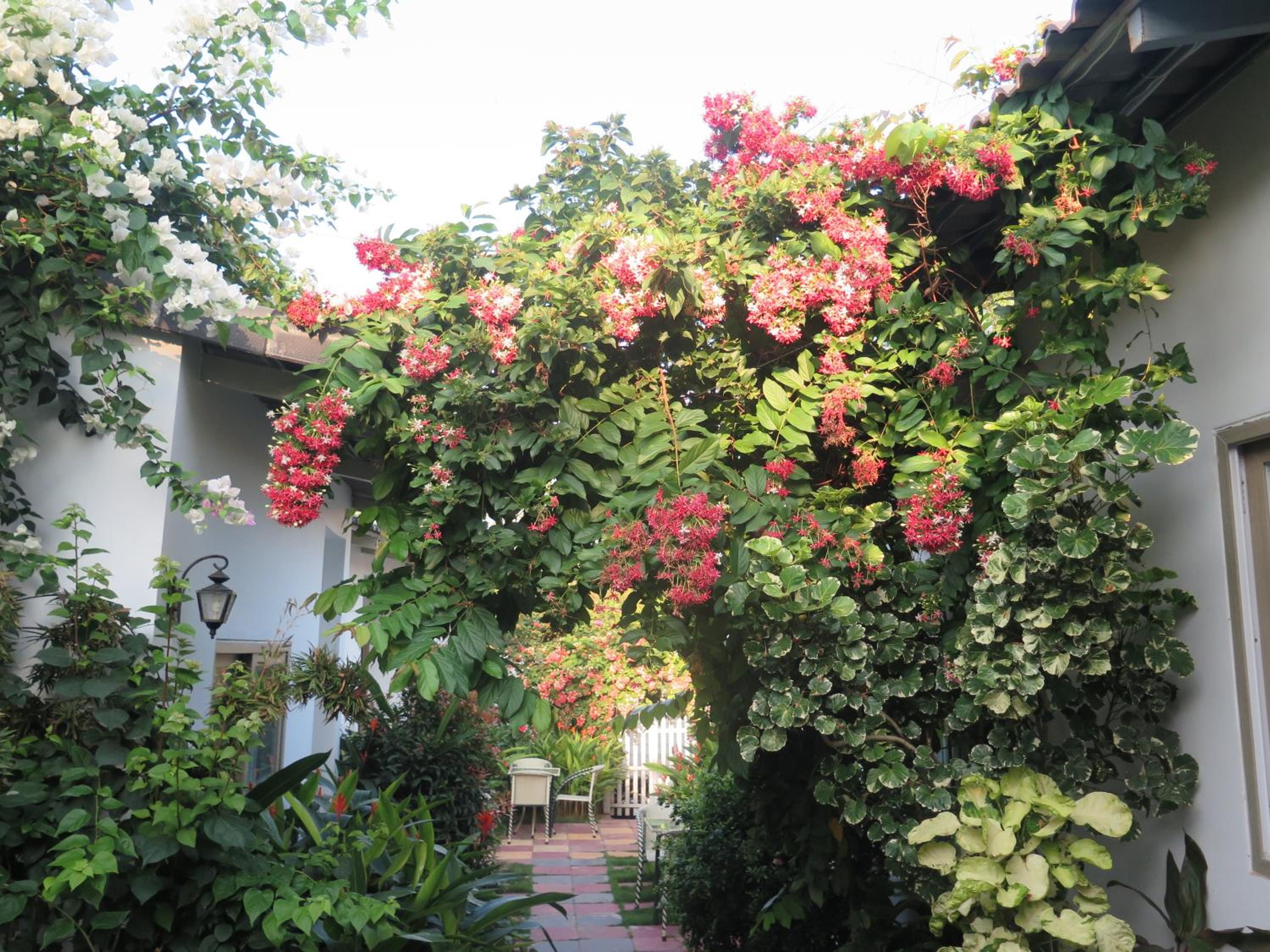 Photo 41