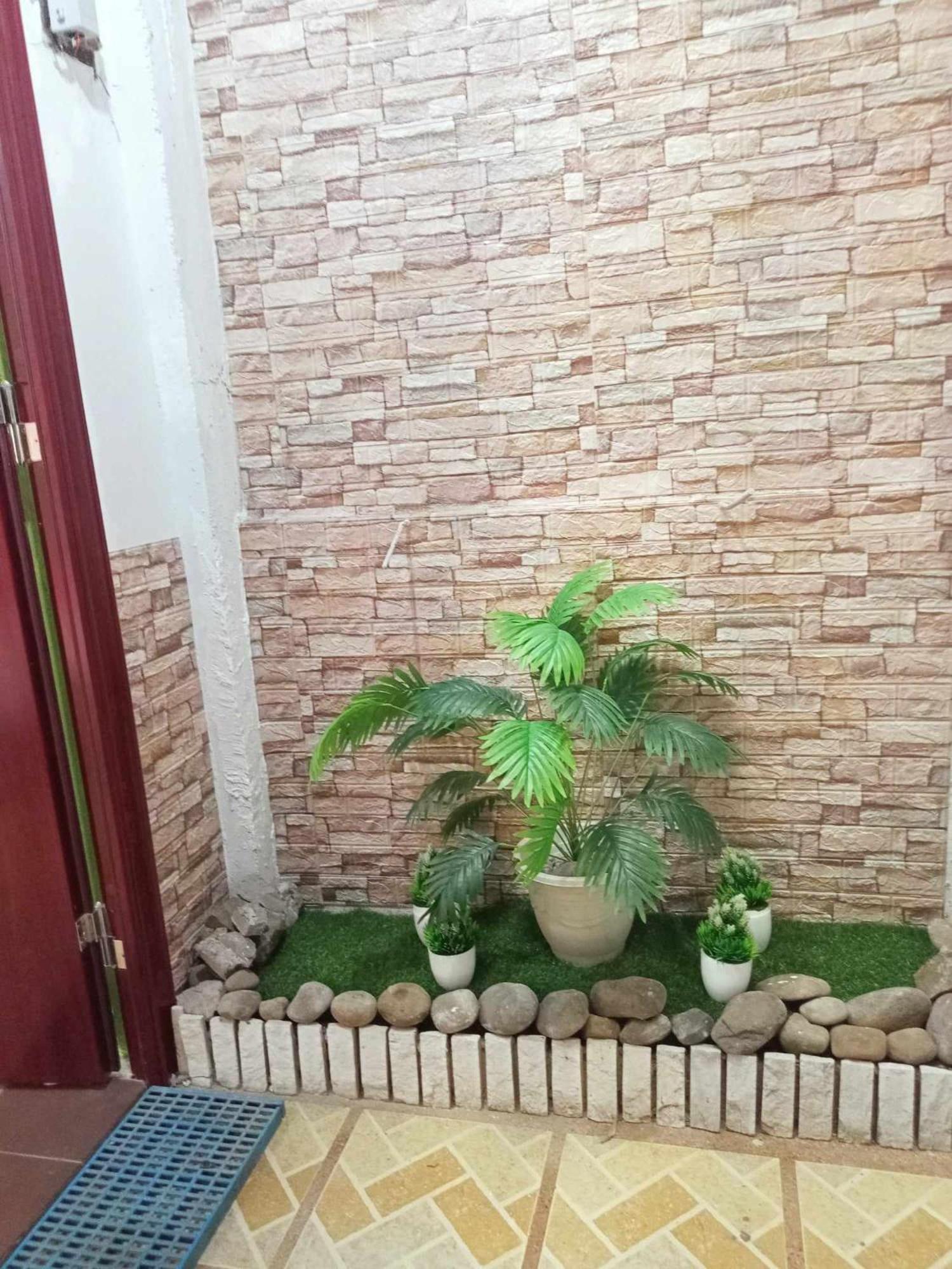 Baguio Roselle Transient House