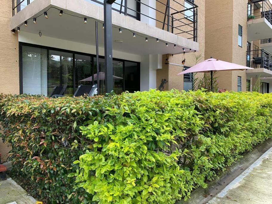 Apartamento Eje Cafetero Parque del Café