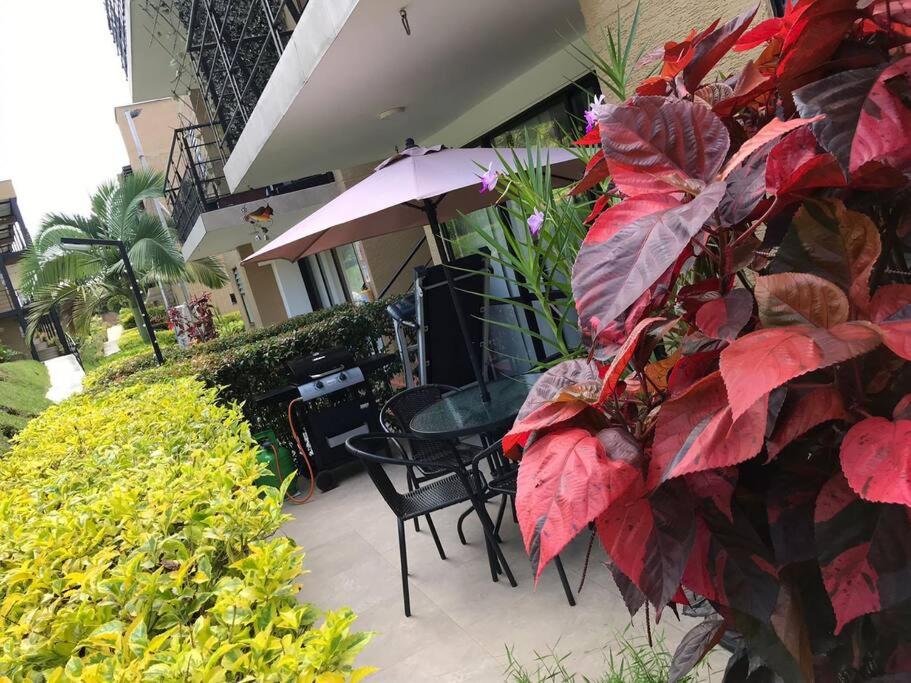 Apartamento Eje Cafetero Parque del Café