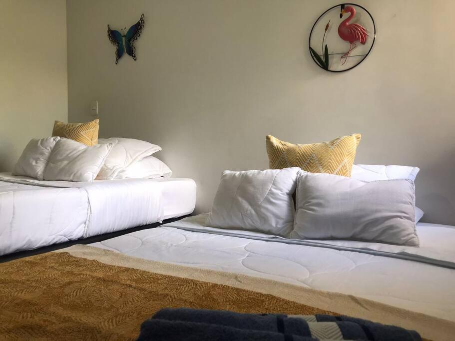 Apartamento Eje Cafetero Parque del Café