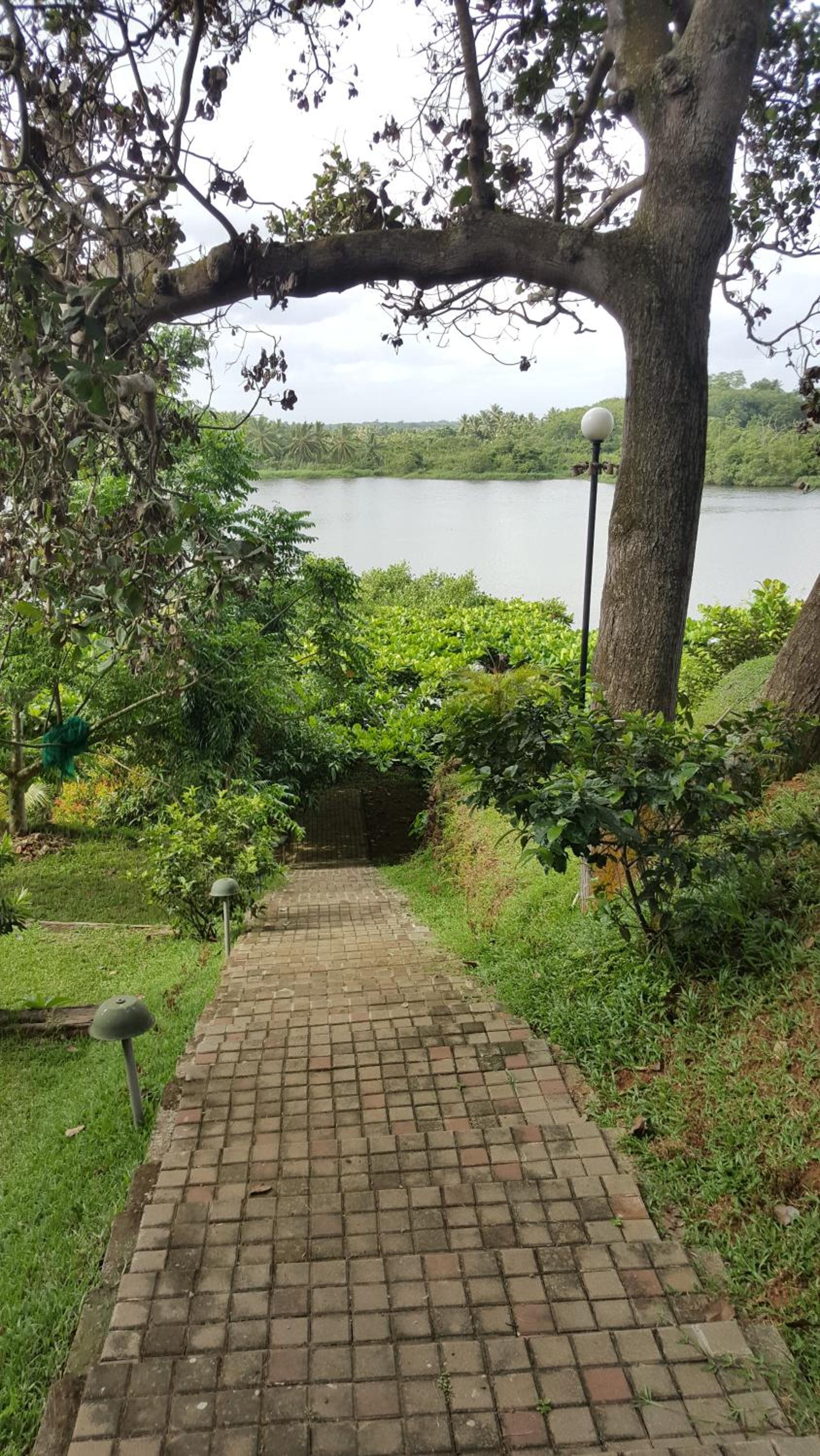 Anugaa by the river Bolgoda view 5