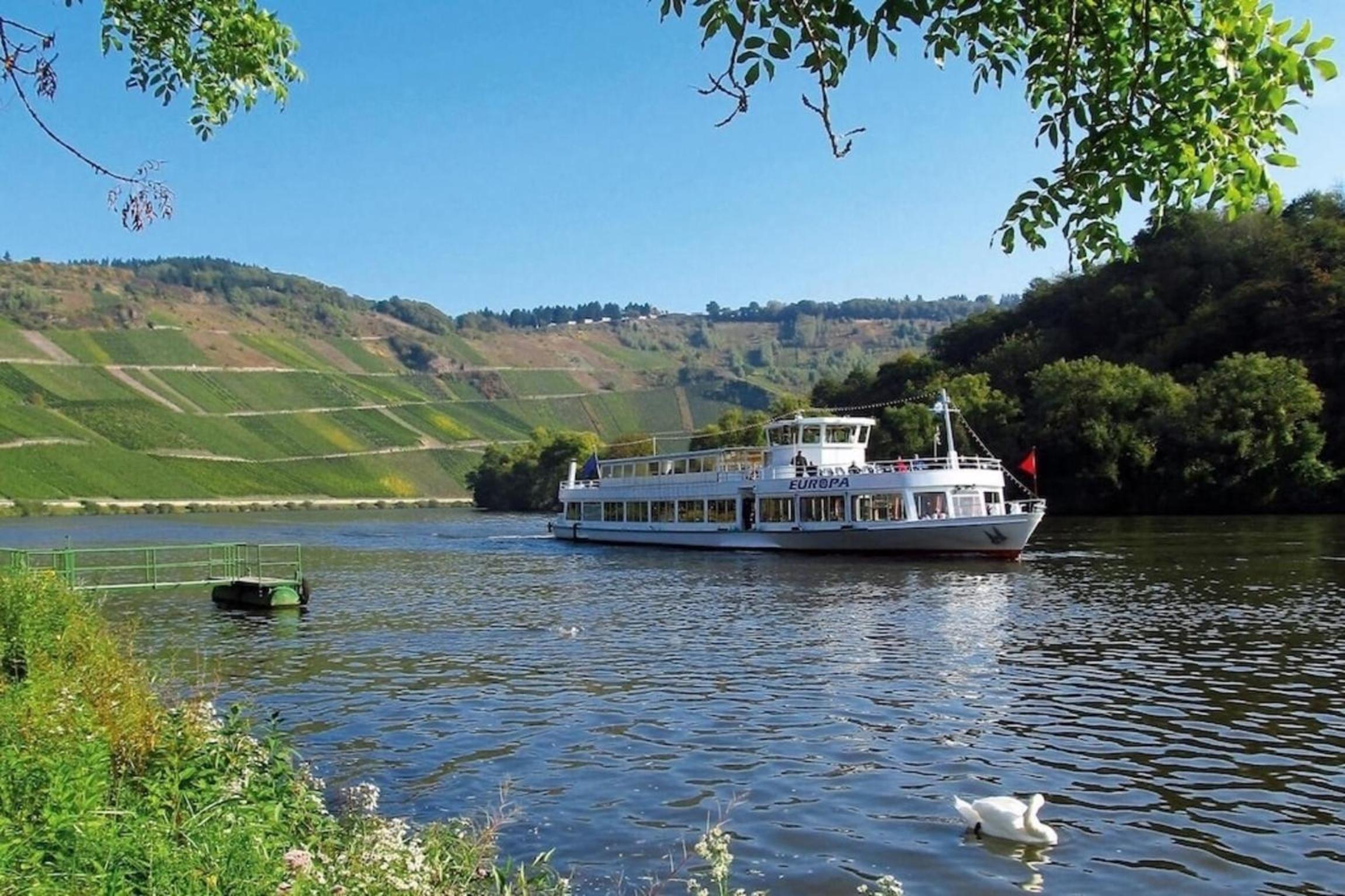 familienfreundliche Ferienwohnung Weingarten in Piesport