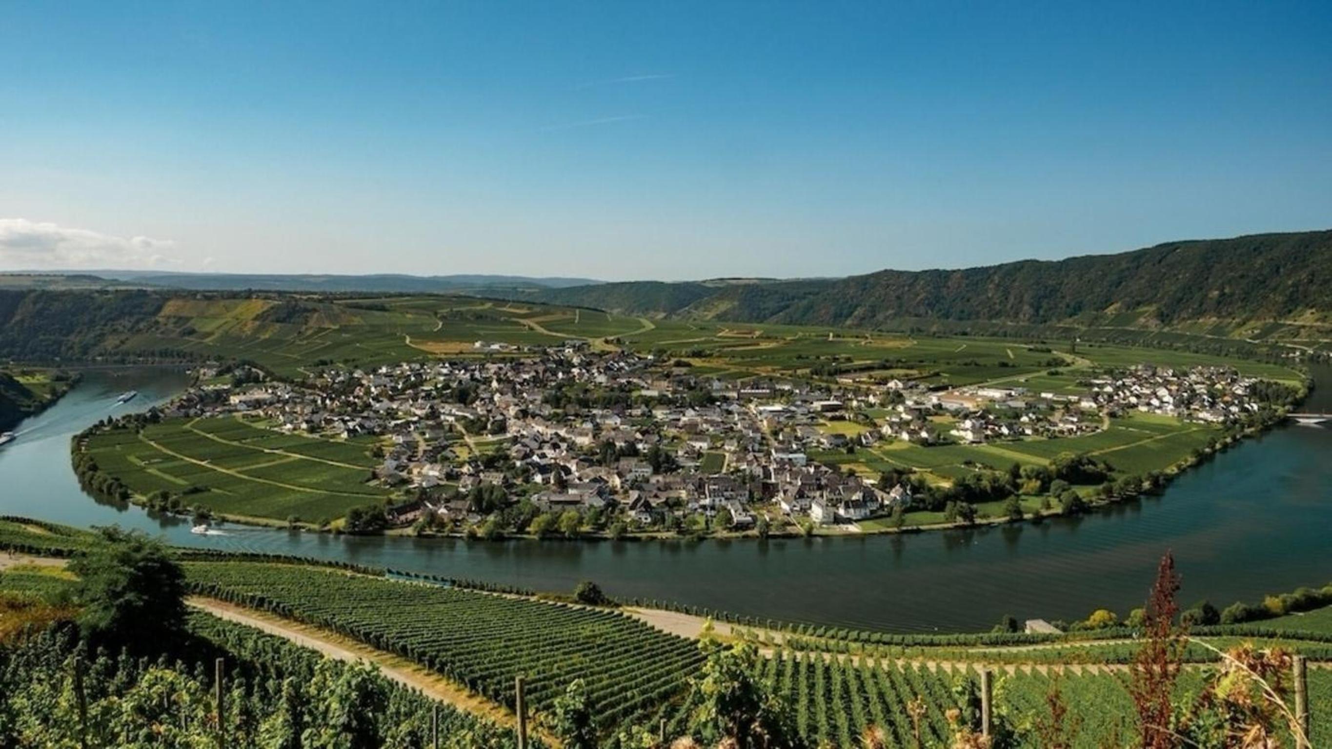 familienfreundliche Ferienwohnung Weingarten in Piesport