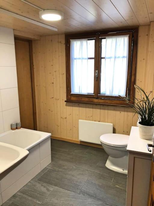 Cosy mountain apartment 5min walk from Gondola