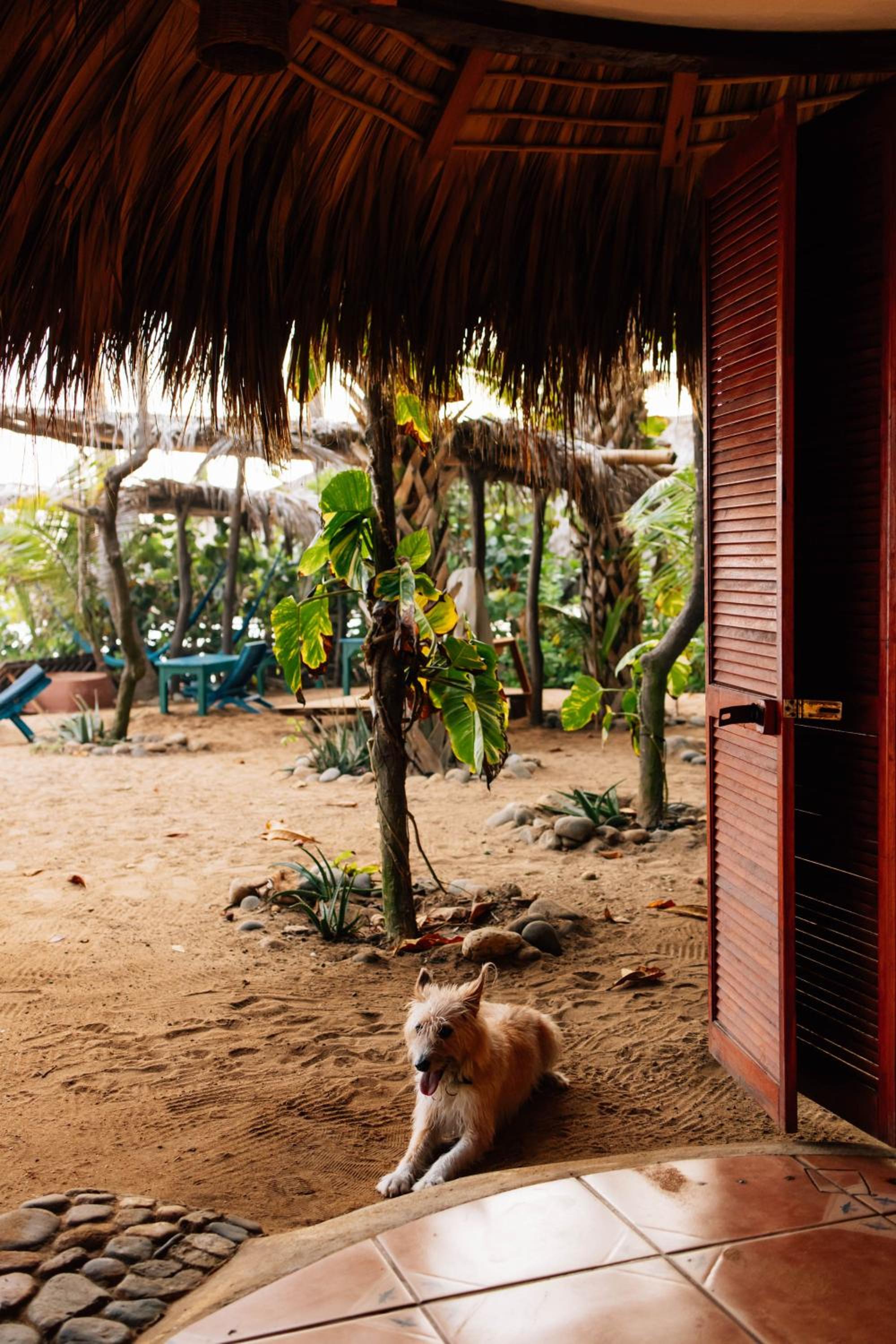 Bambú Ecocabañas