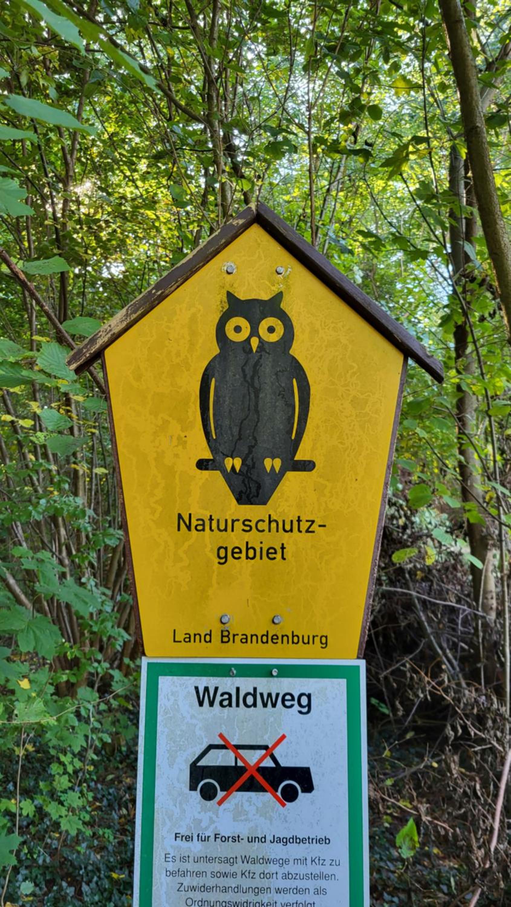 Finnhütte zwischen Wald und See