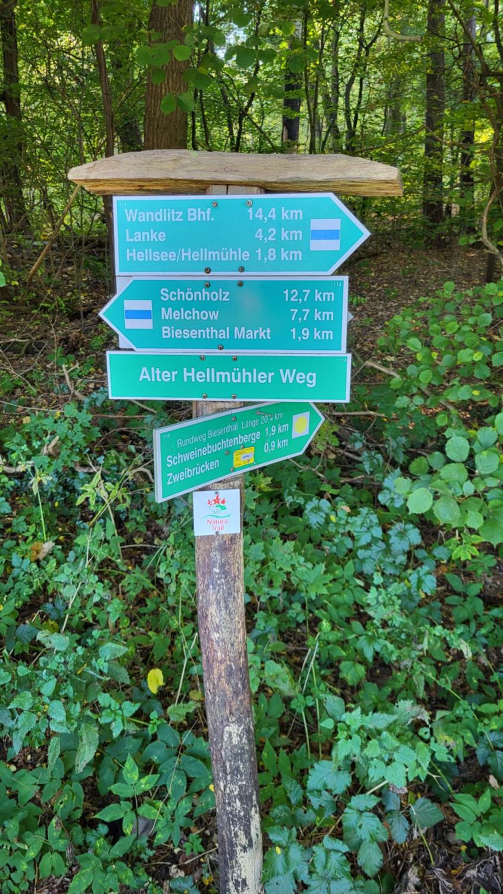 Finnhütte zwischen Wald und See