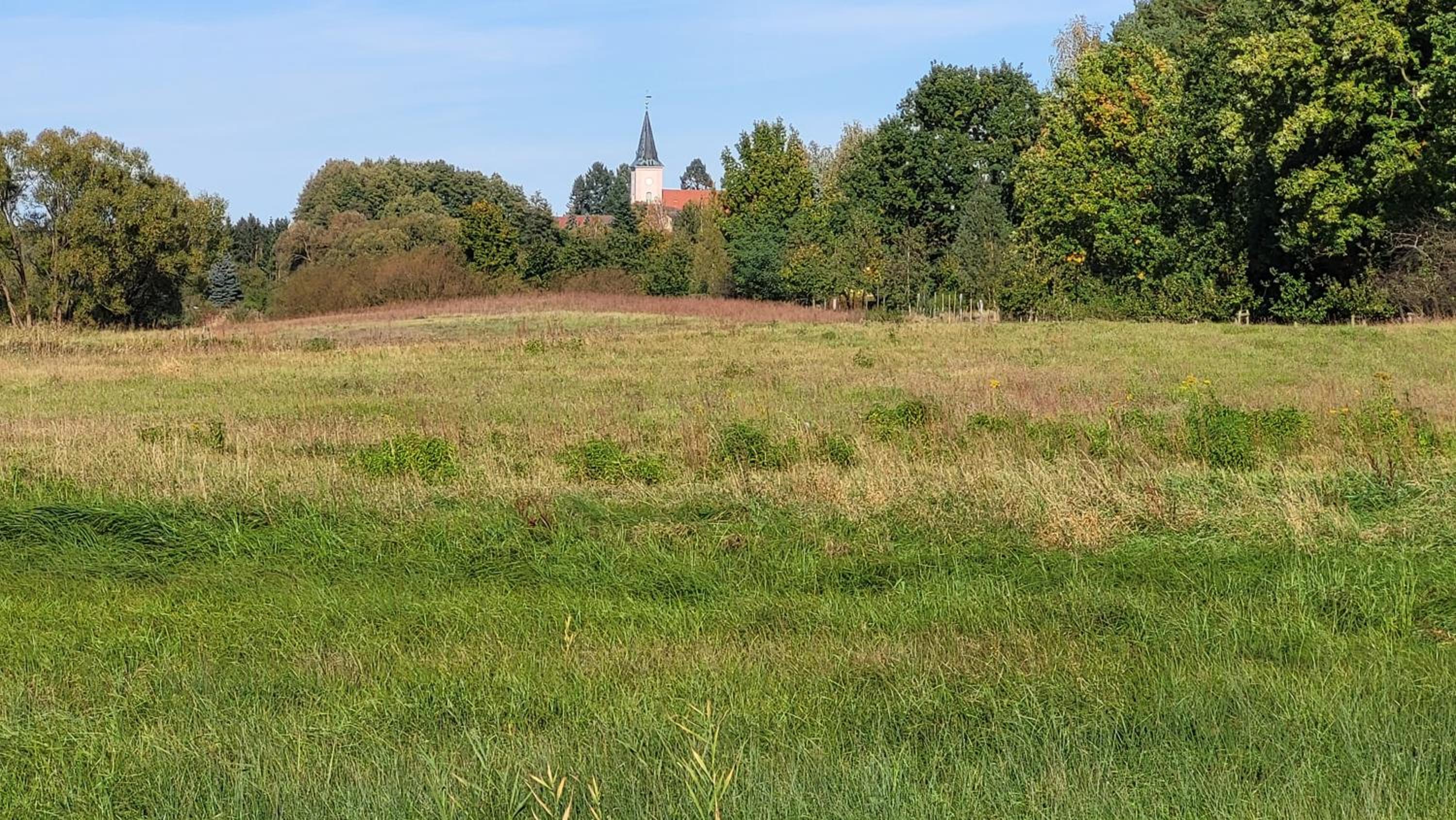 Finnhütte zwischen Wald und See