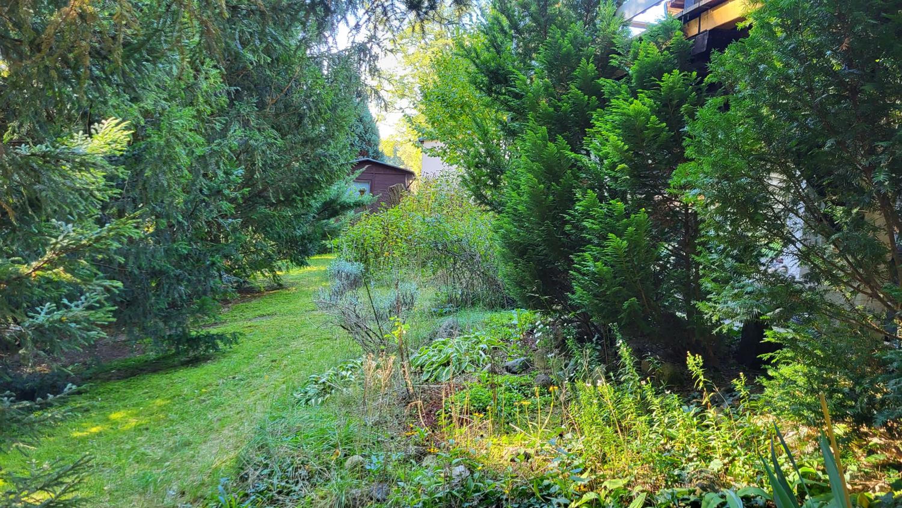 Finnhütte zwischen Wald und See