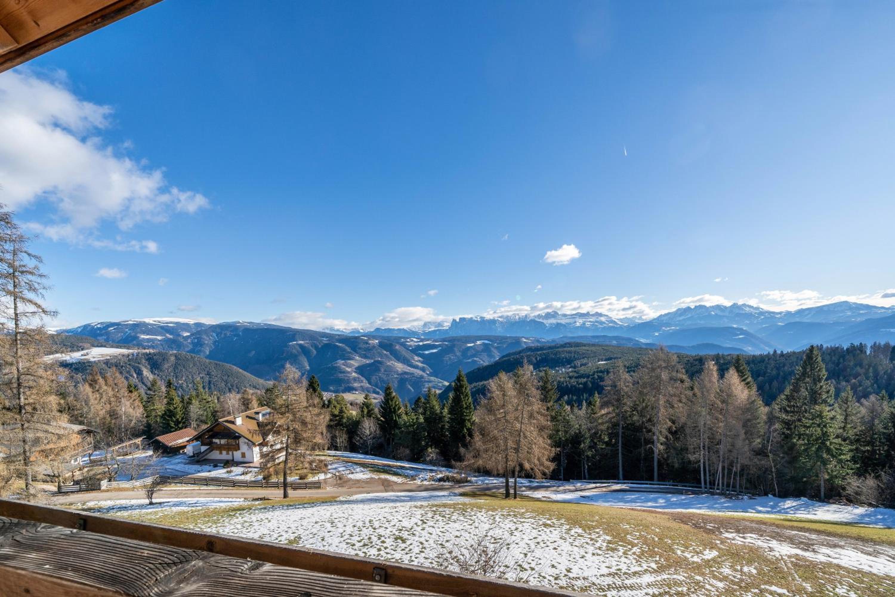 Stücklhof Wohnung Edelweiss view 5