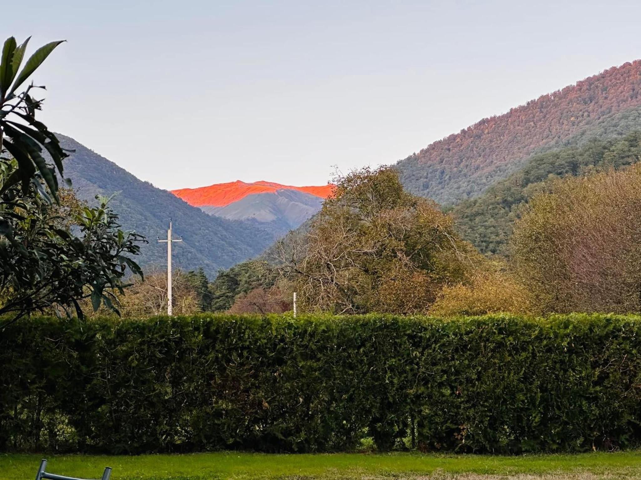 Green House view 4