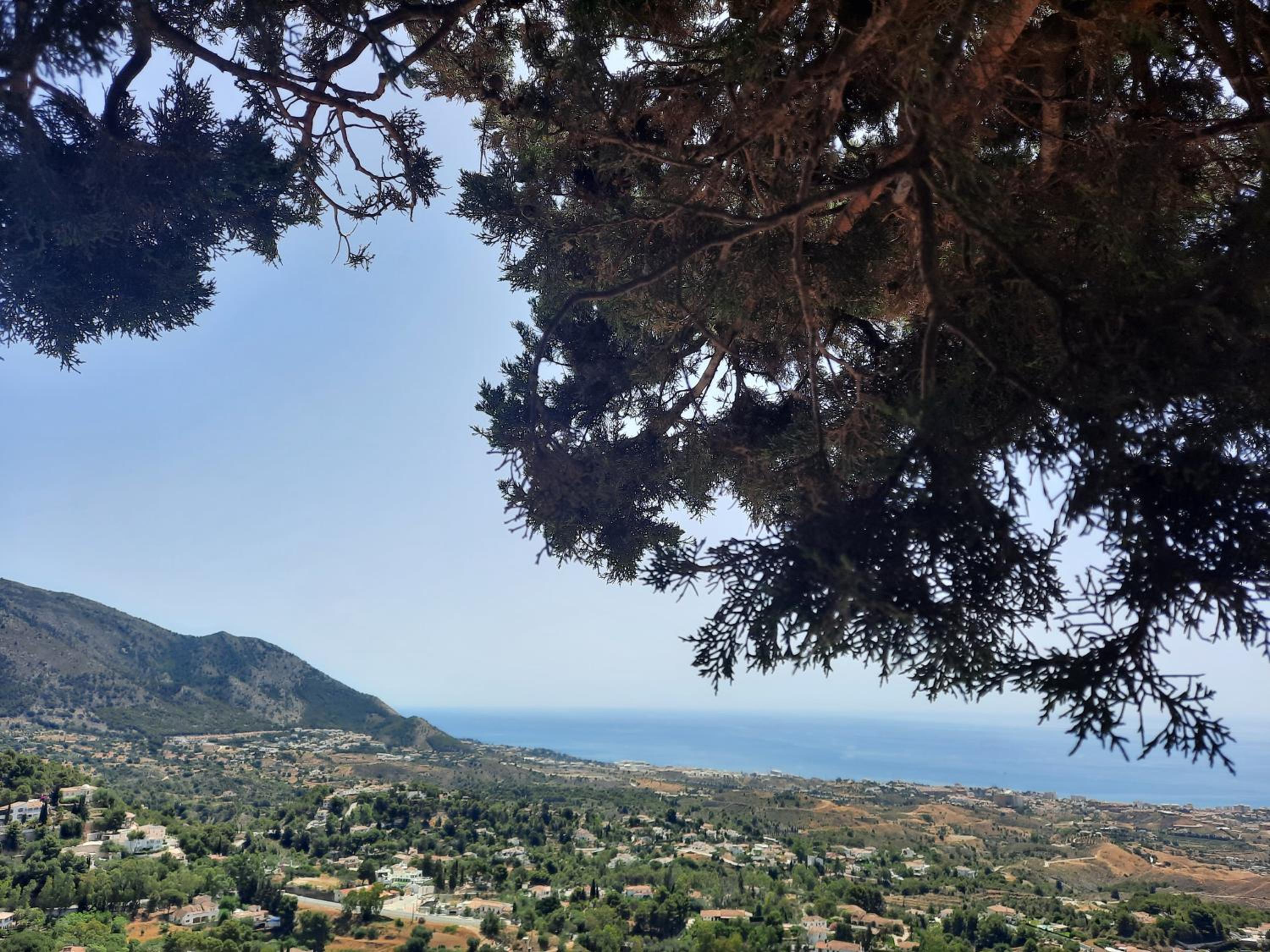 Marina Garden: Jardín Vista Mar • Valle Properties
