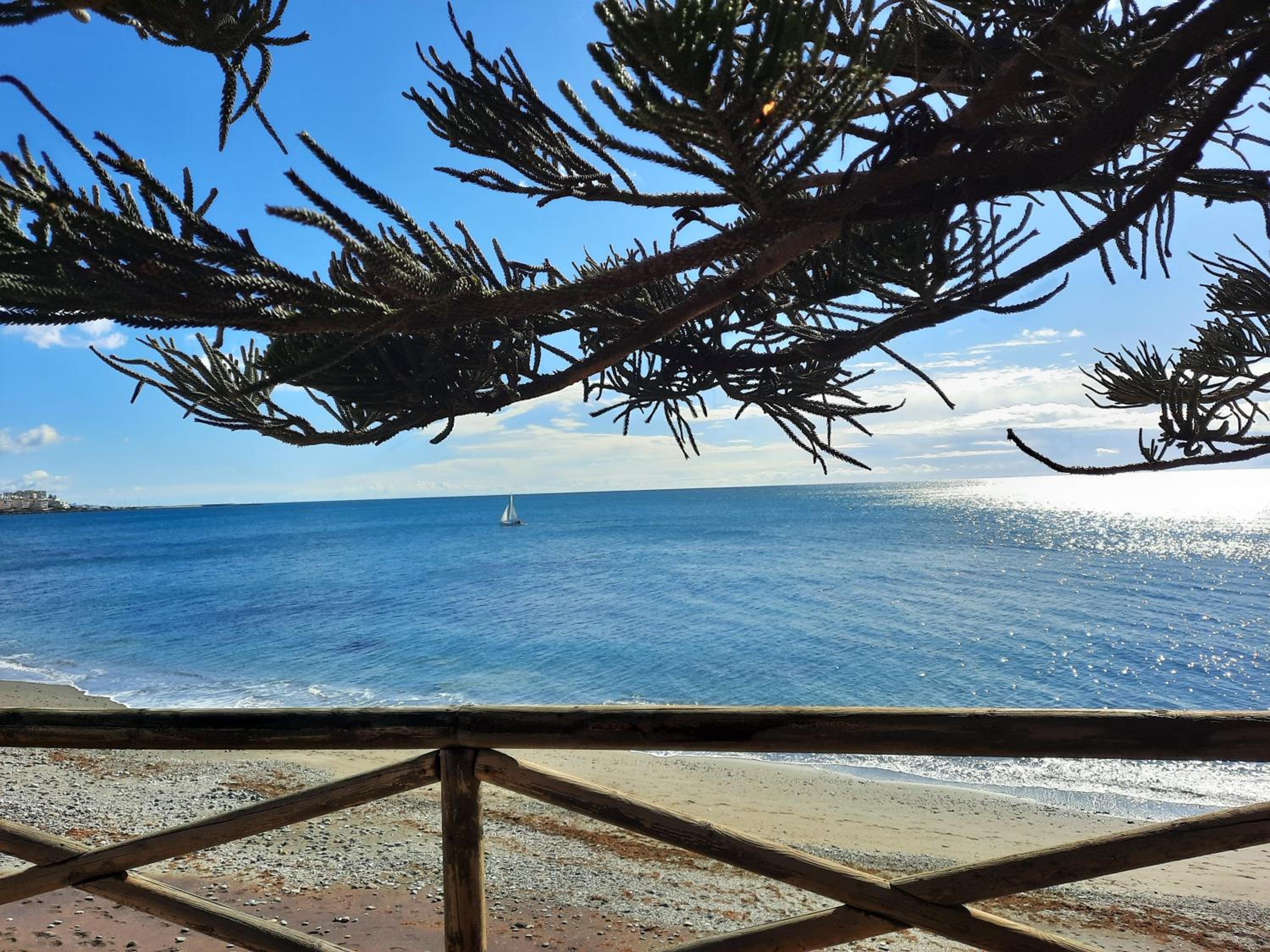 Caballito de mar: Playa&familia • Valle Properties