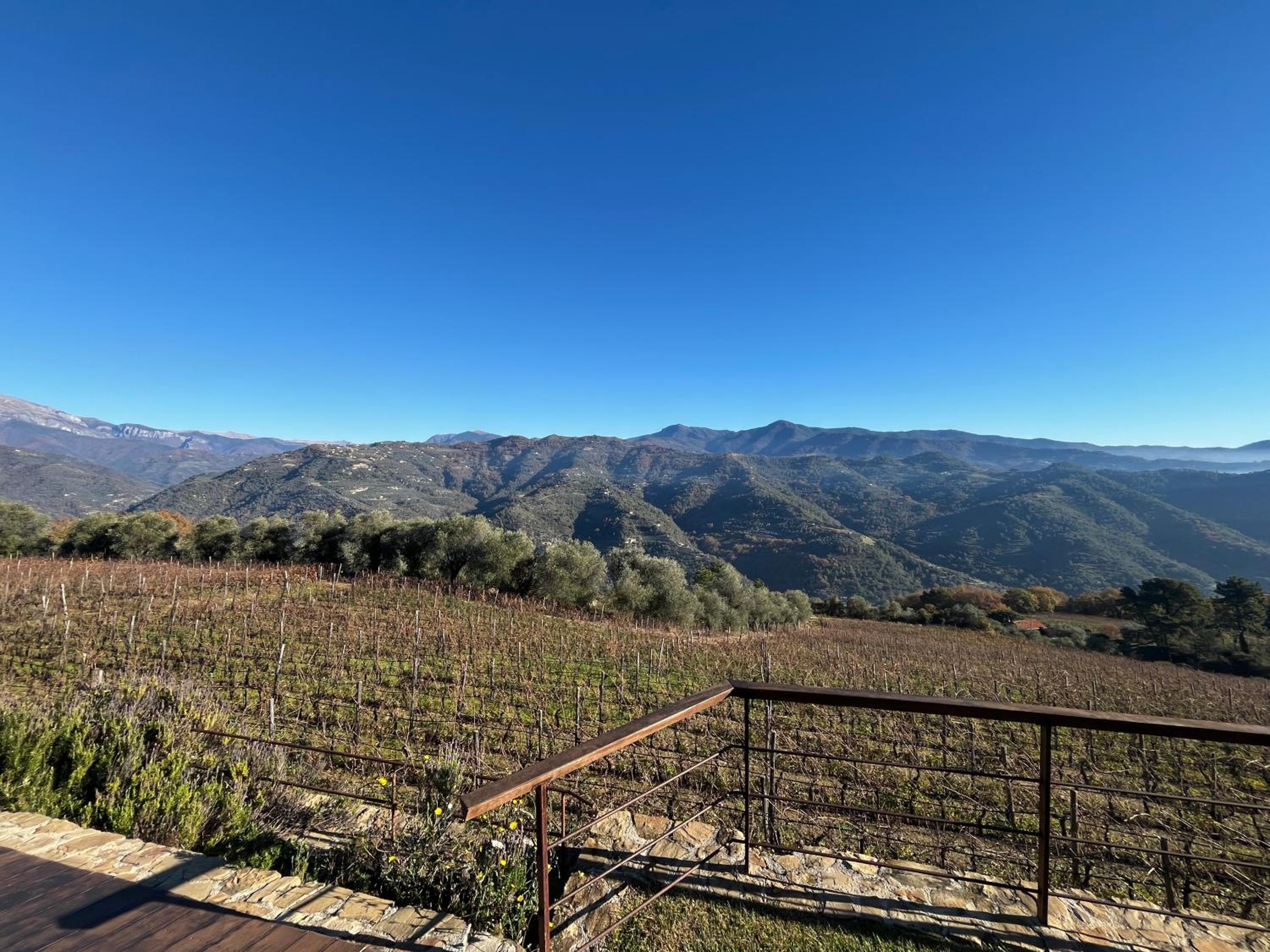 Agriturismo Altavia-Travigne