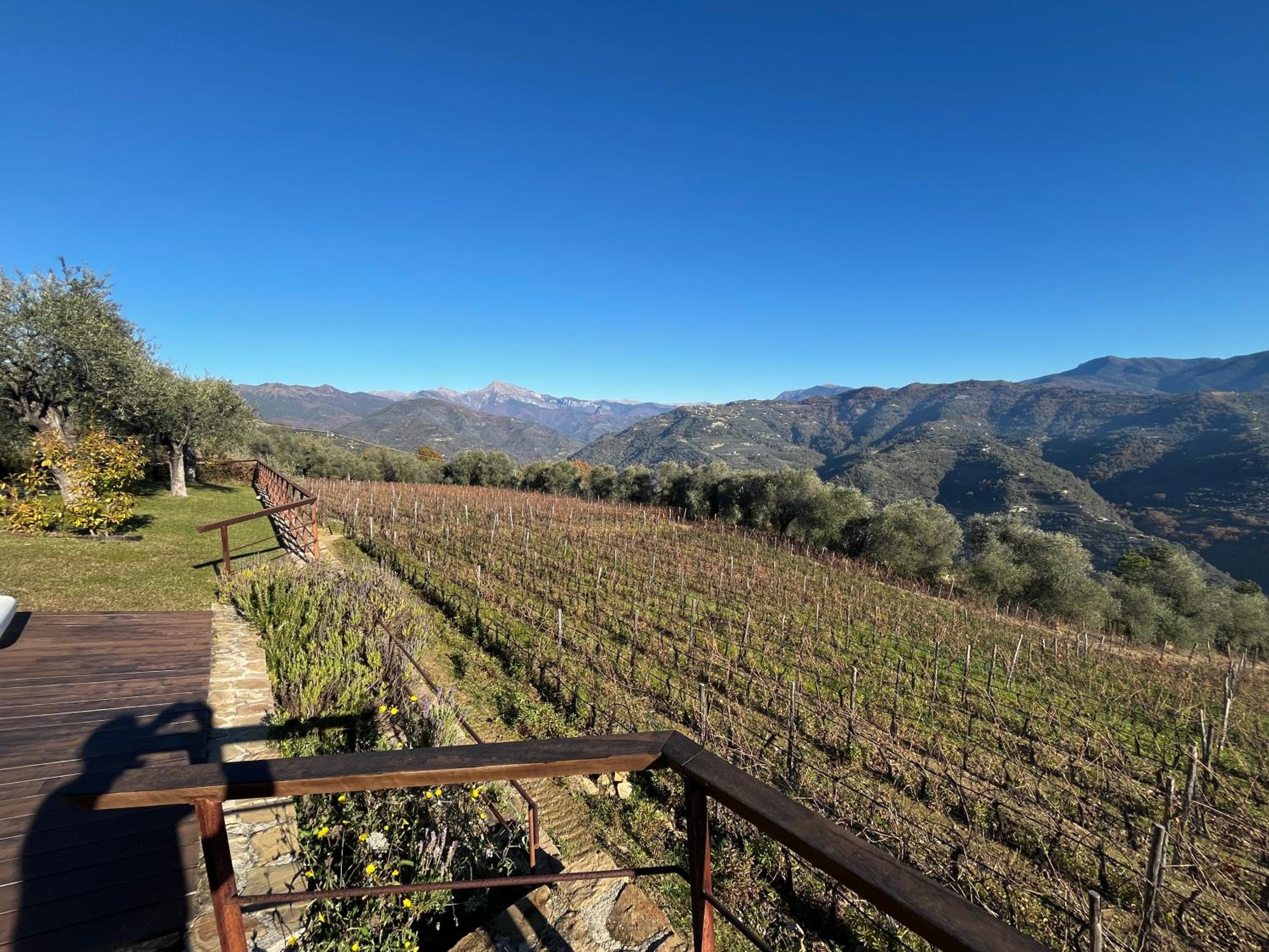 Agriturismo Altavia-Travigne