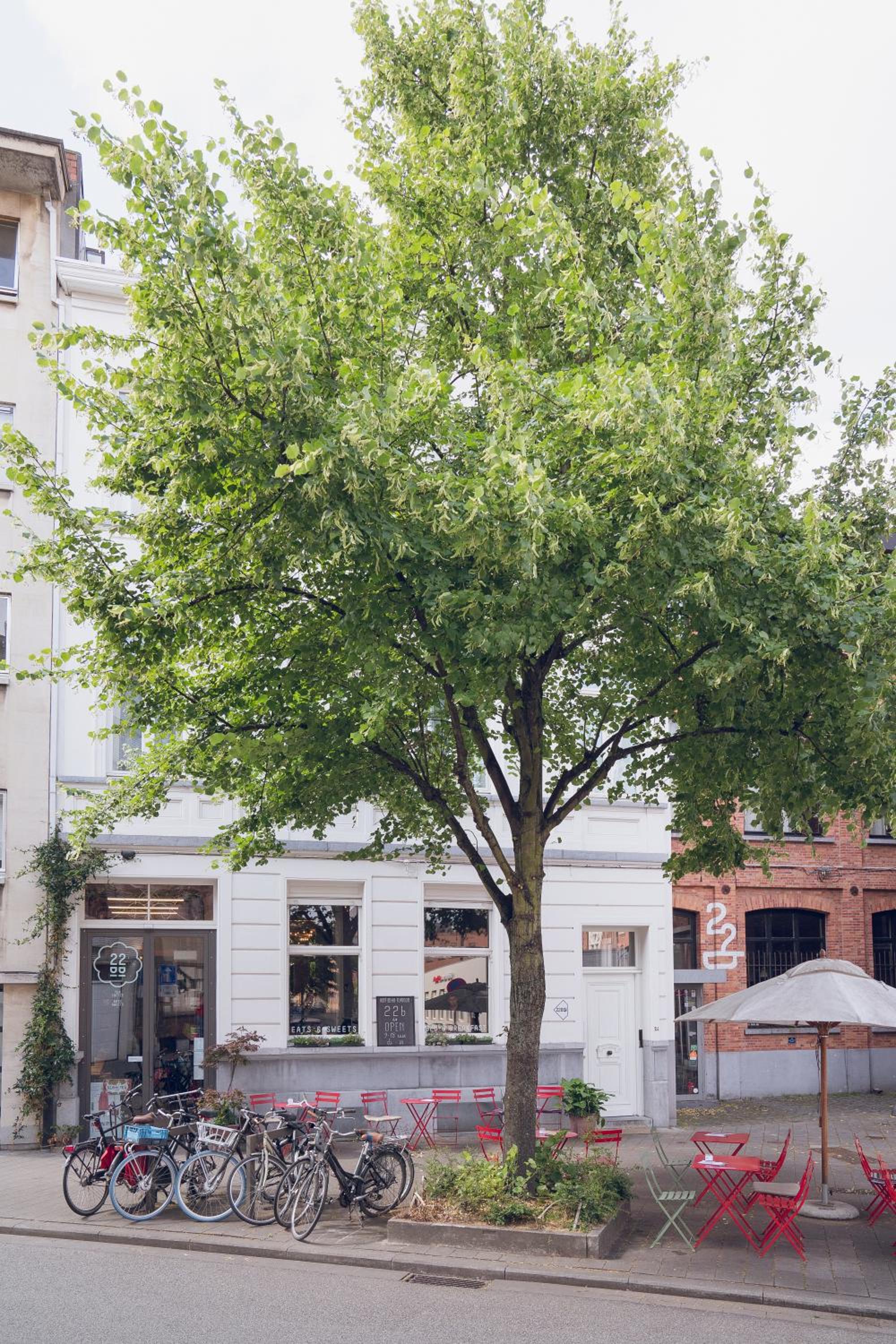 Photo 45
