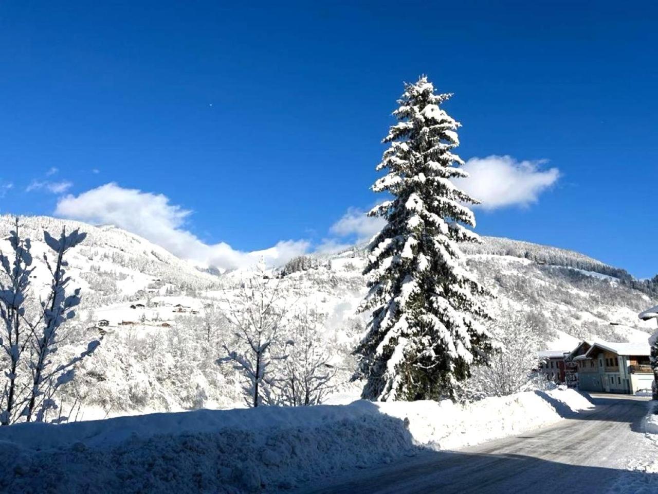 Penthouse Julia nähe Badesee mit Infrarotsauna -Zell am See Kaprun