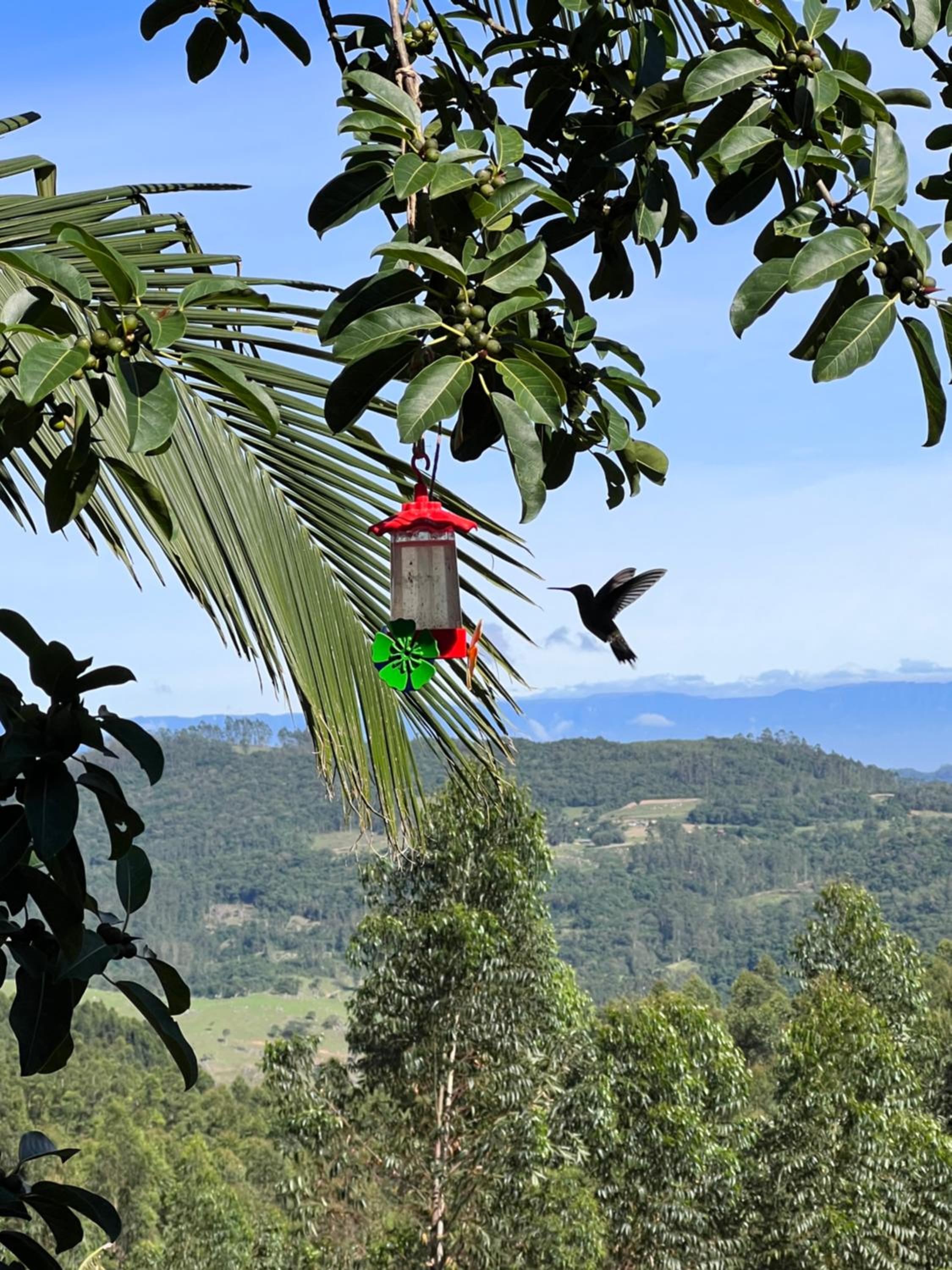 Sitio do Vô Adelfo