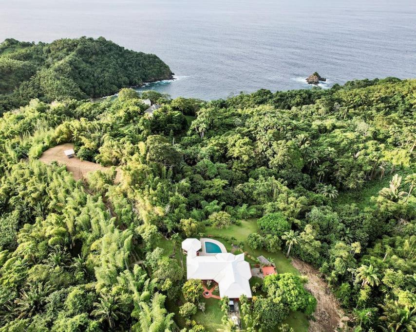 Parrot Estate Villa view 3