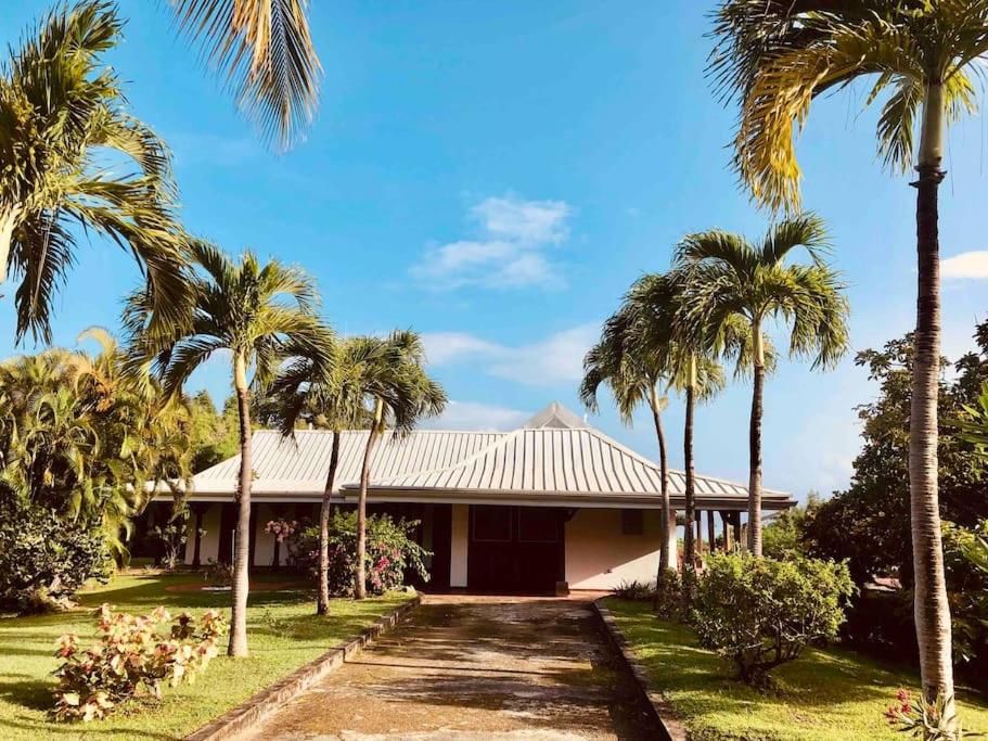 Parrot Estate Villa view 5