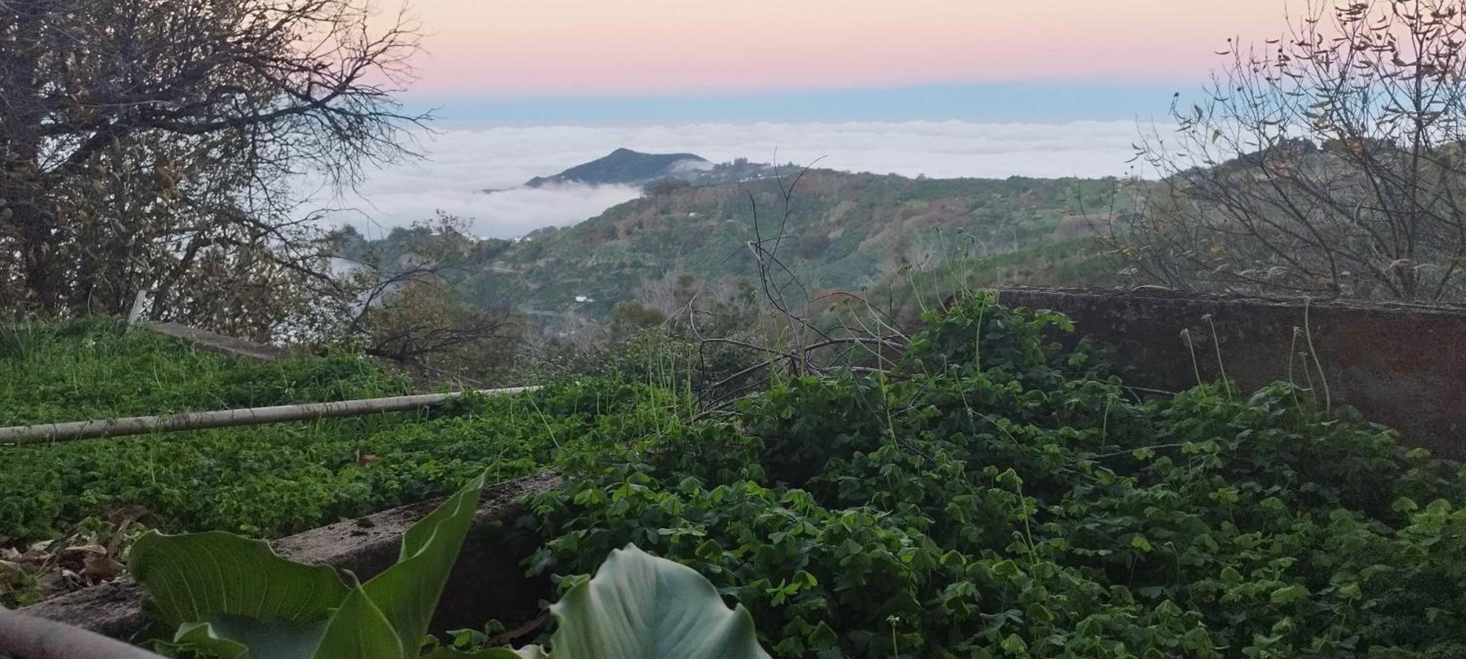 Finca pajaritos