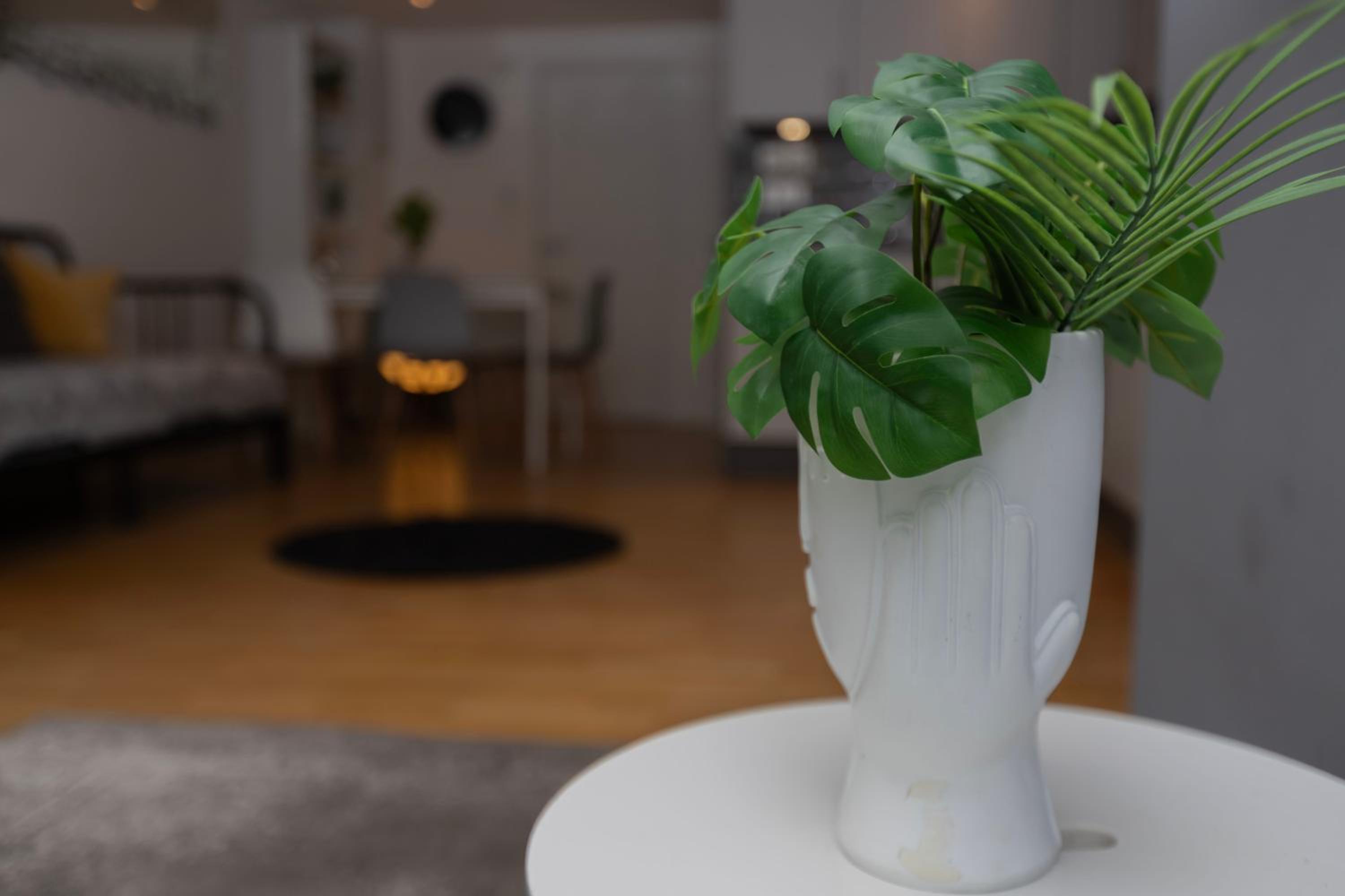 Cosy Ground Floor Apartment