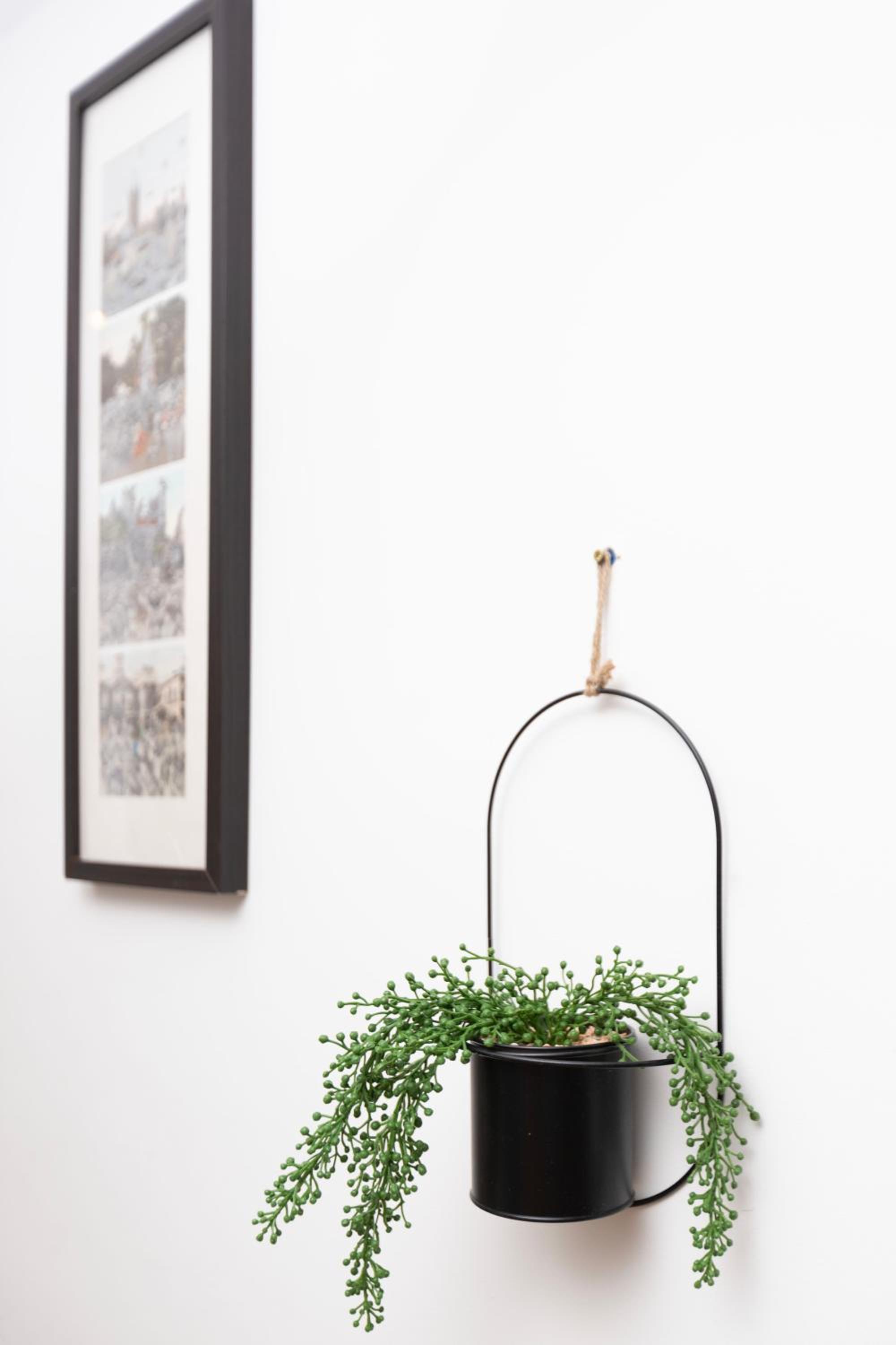 Cosy Ground Floor Apartment