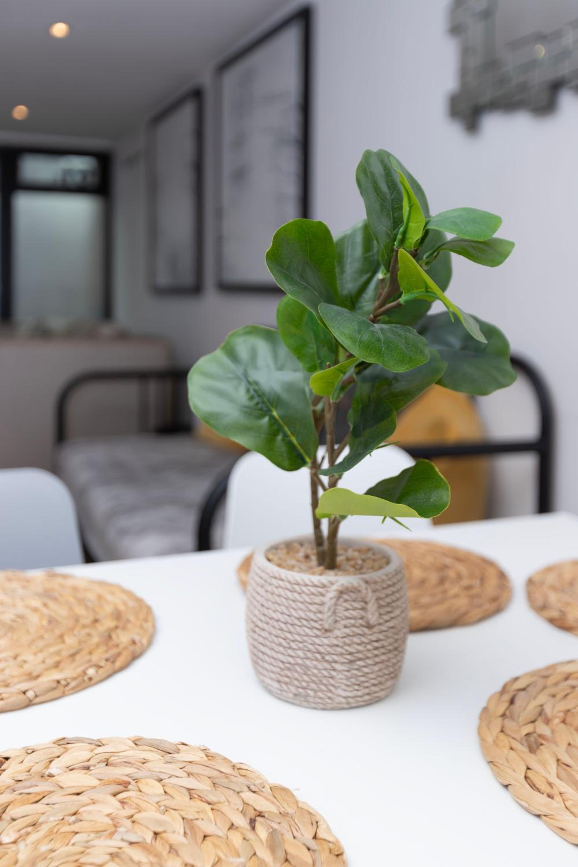 Cosy Ground Floor Apartment