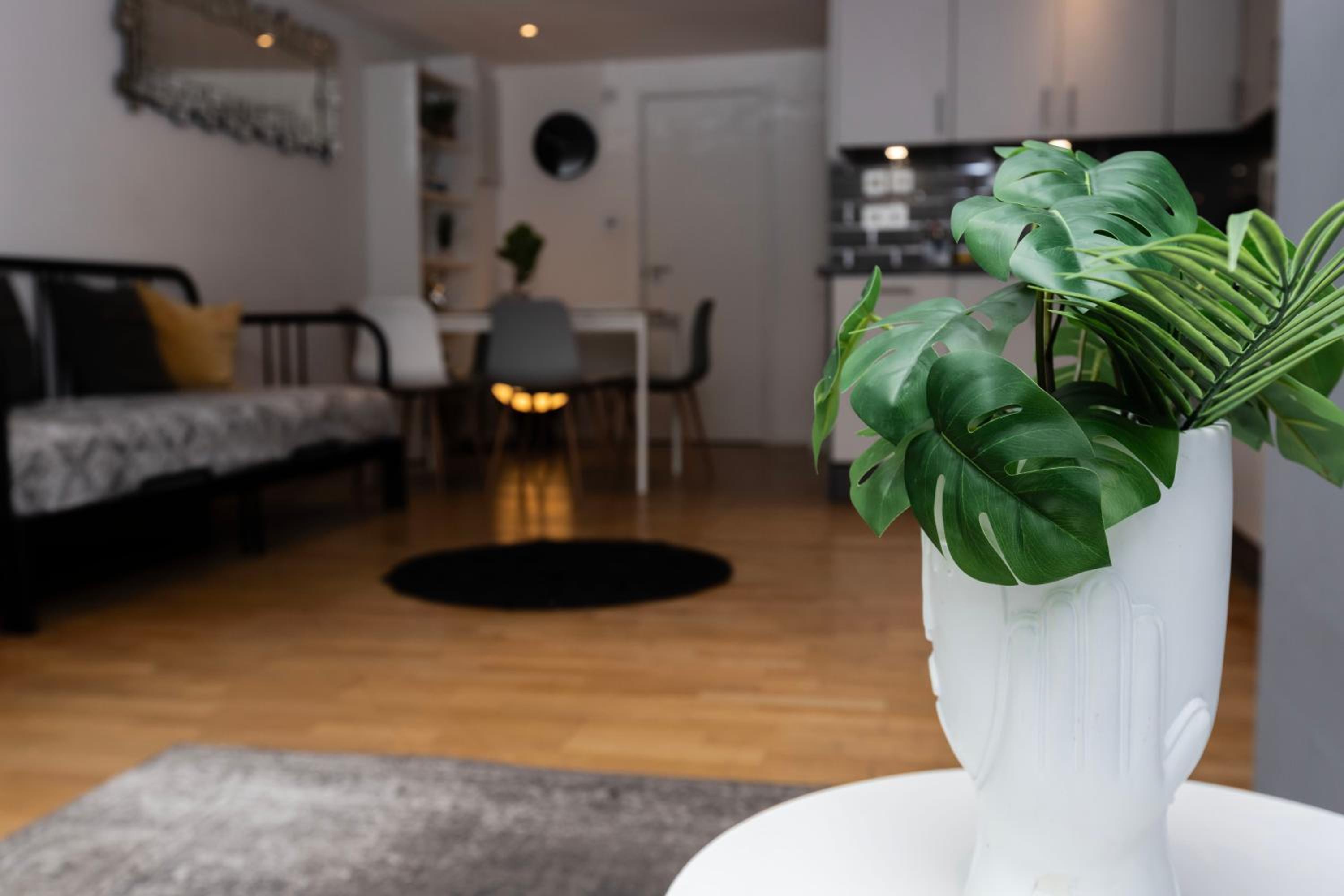 Cosy Ground Floor Apartment