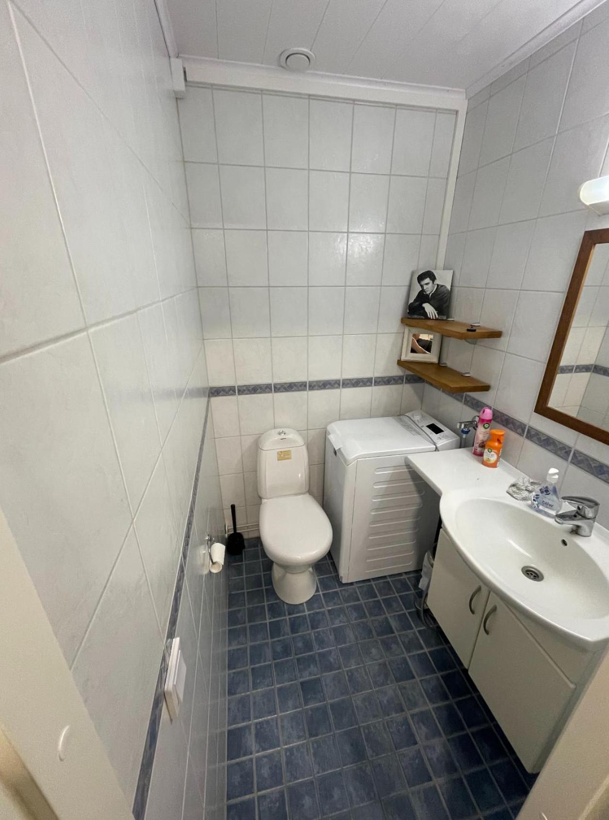 Rovaniemi City Apartment