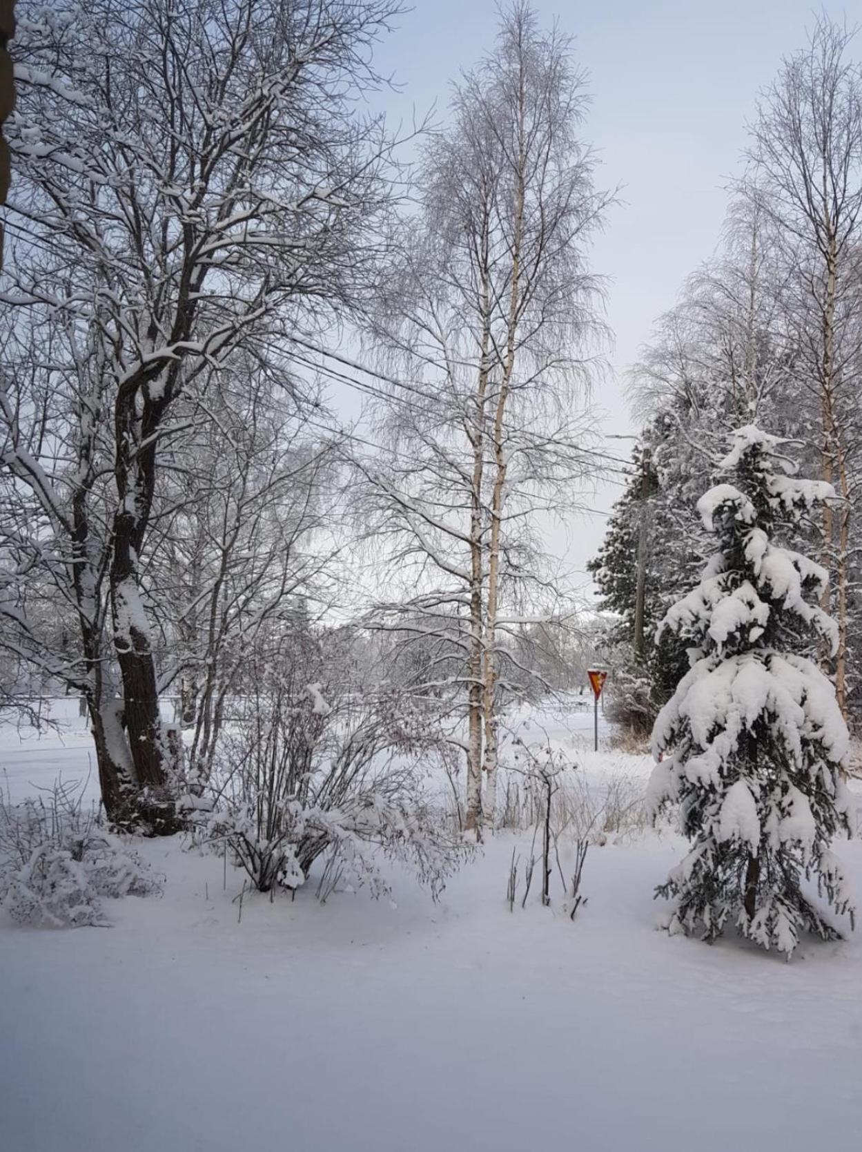 Rovaniemi City Apartment