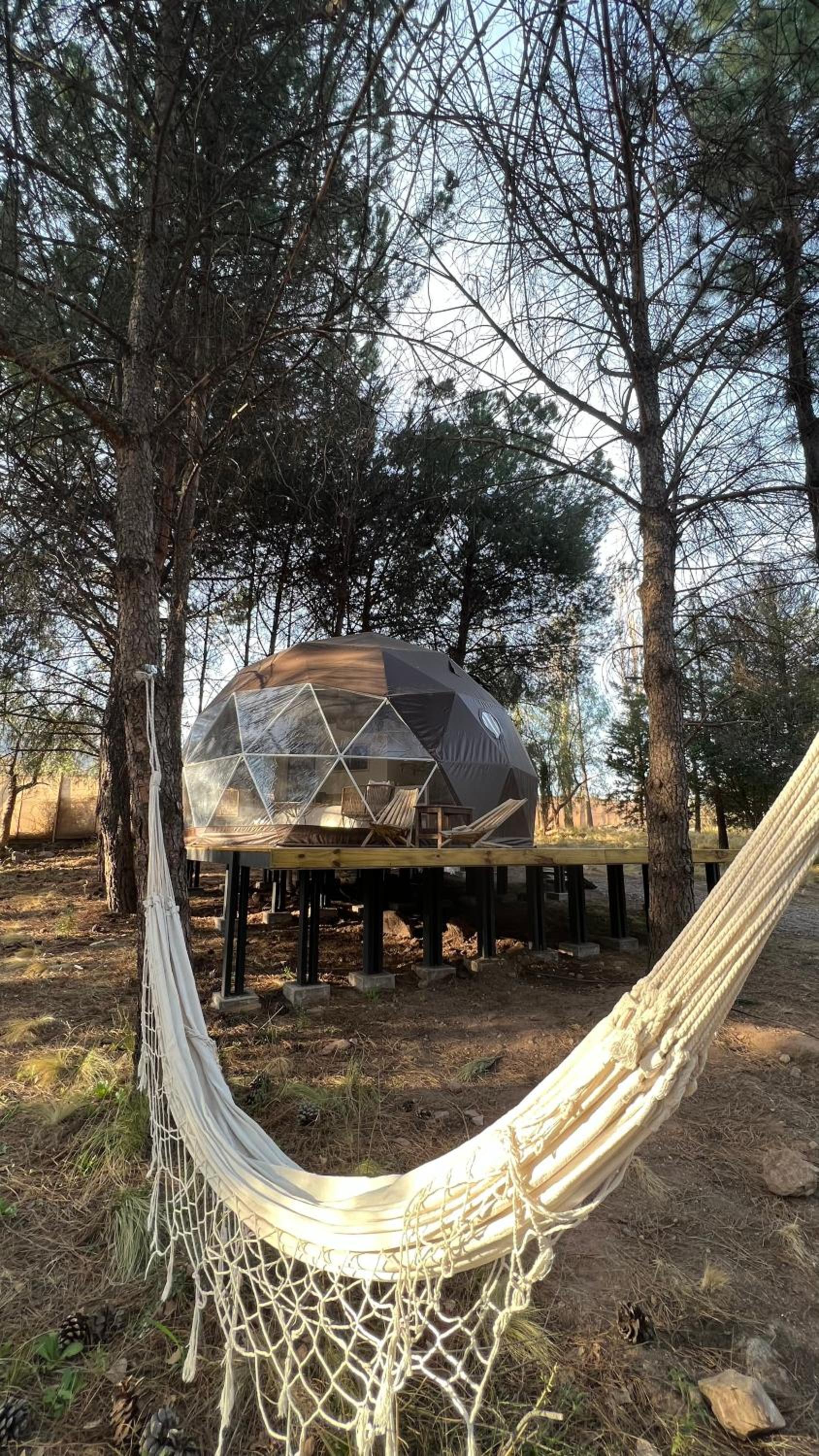 Deer Glamping