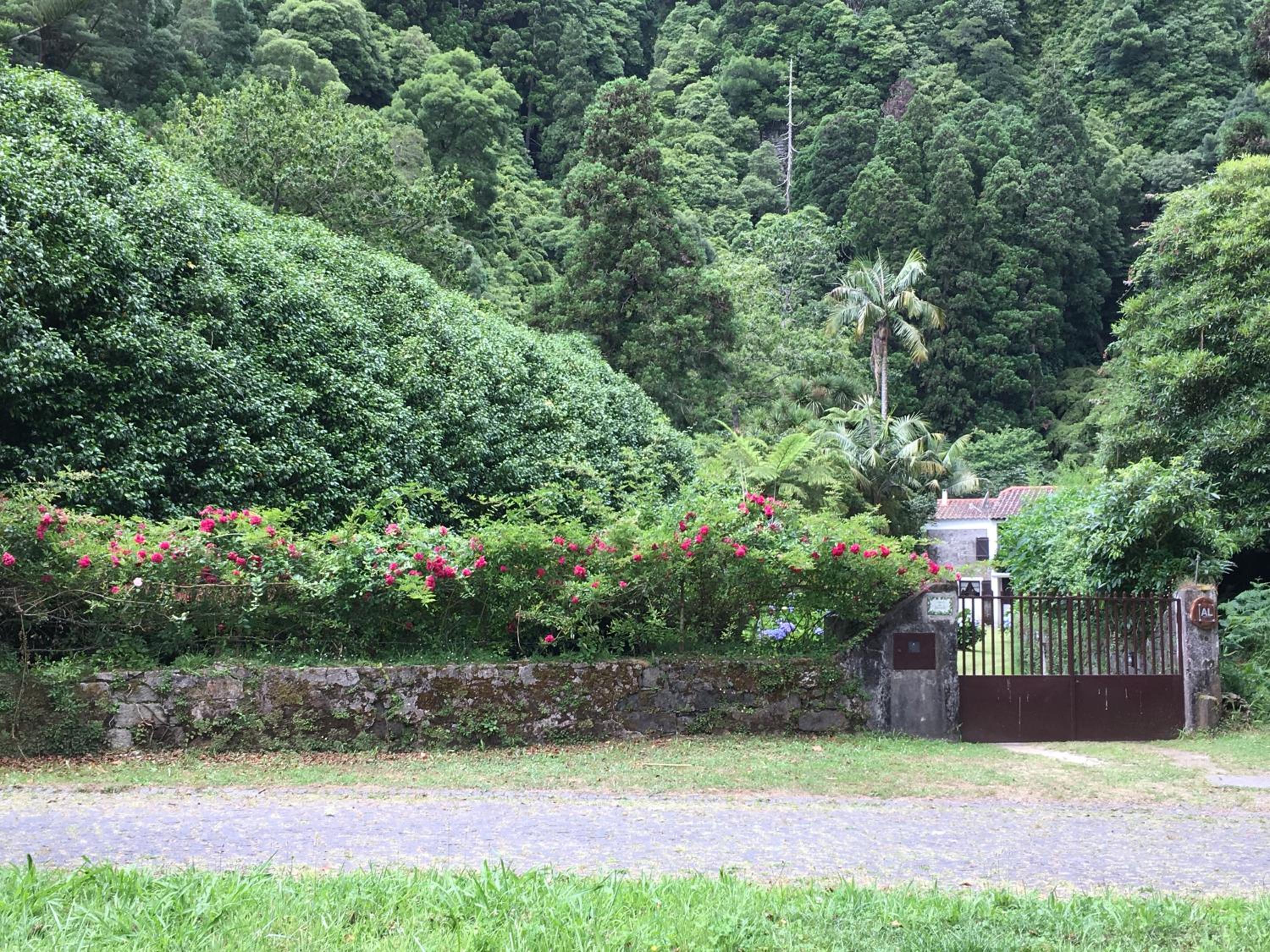 Casa da Cascata view 2